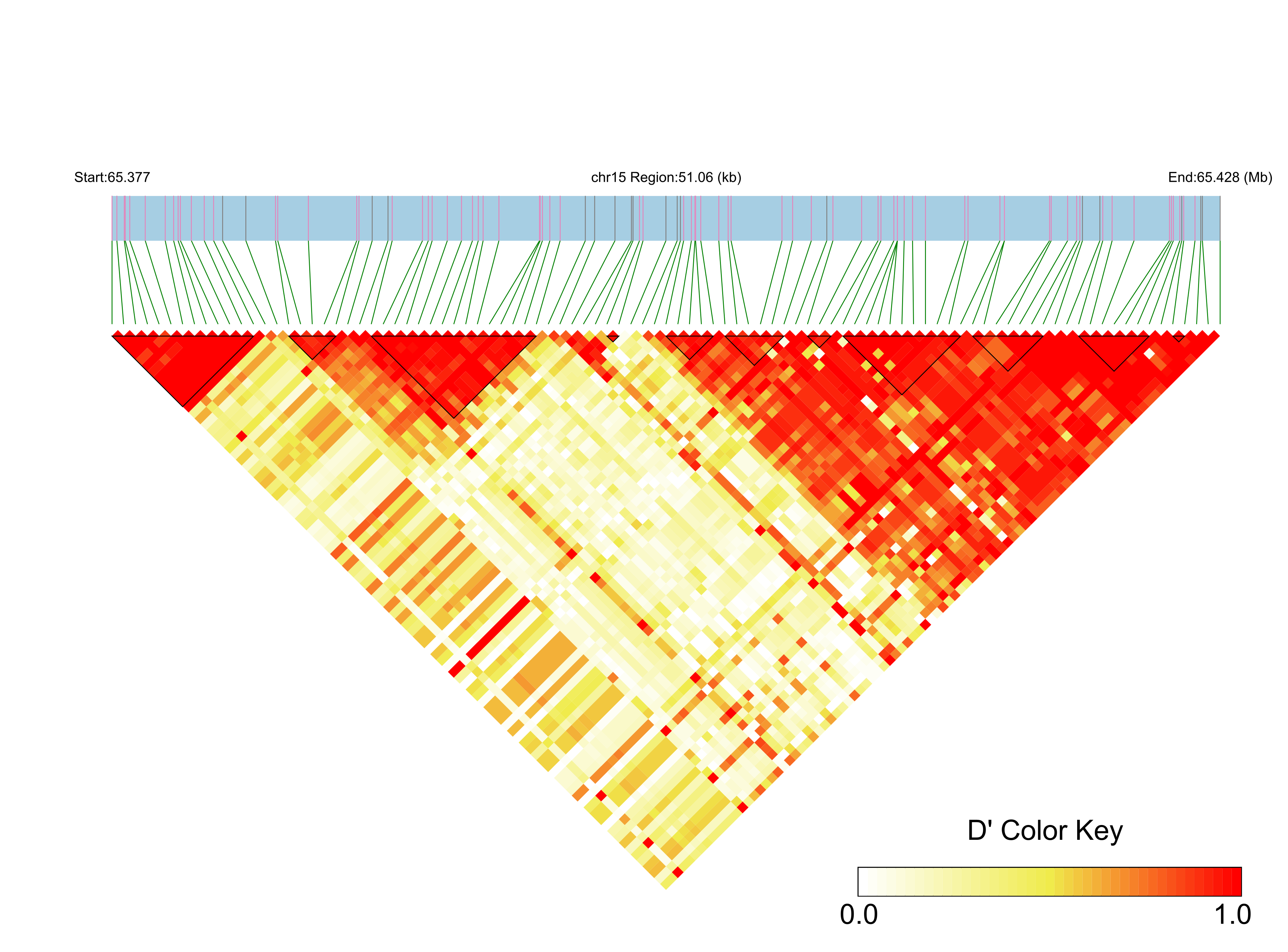 LD