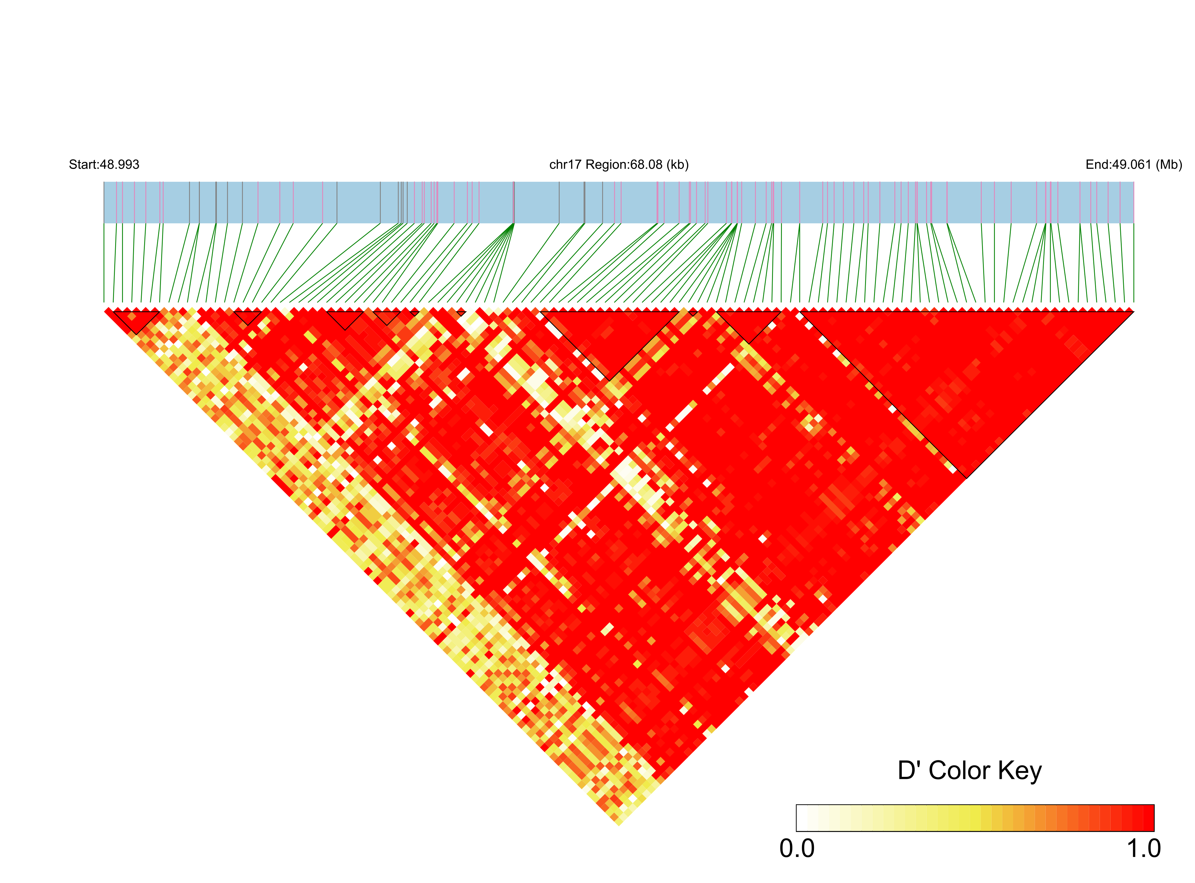 LD