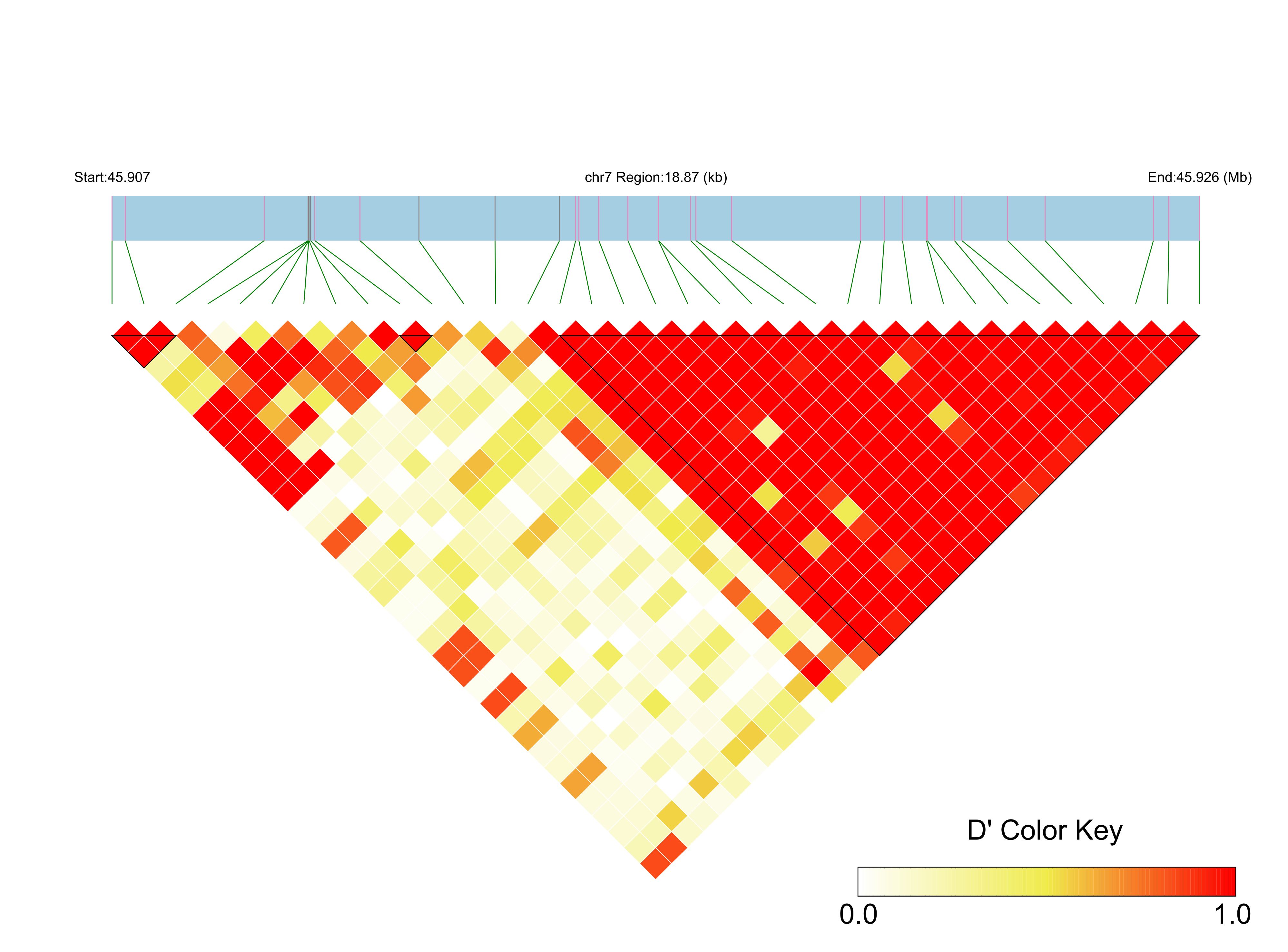 LD