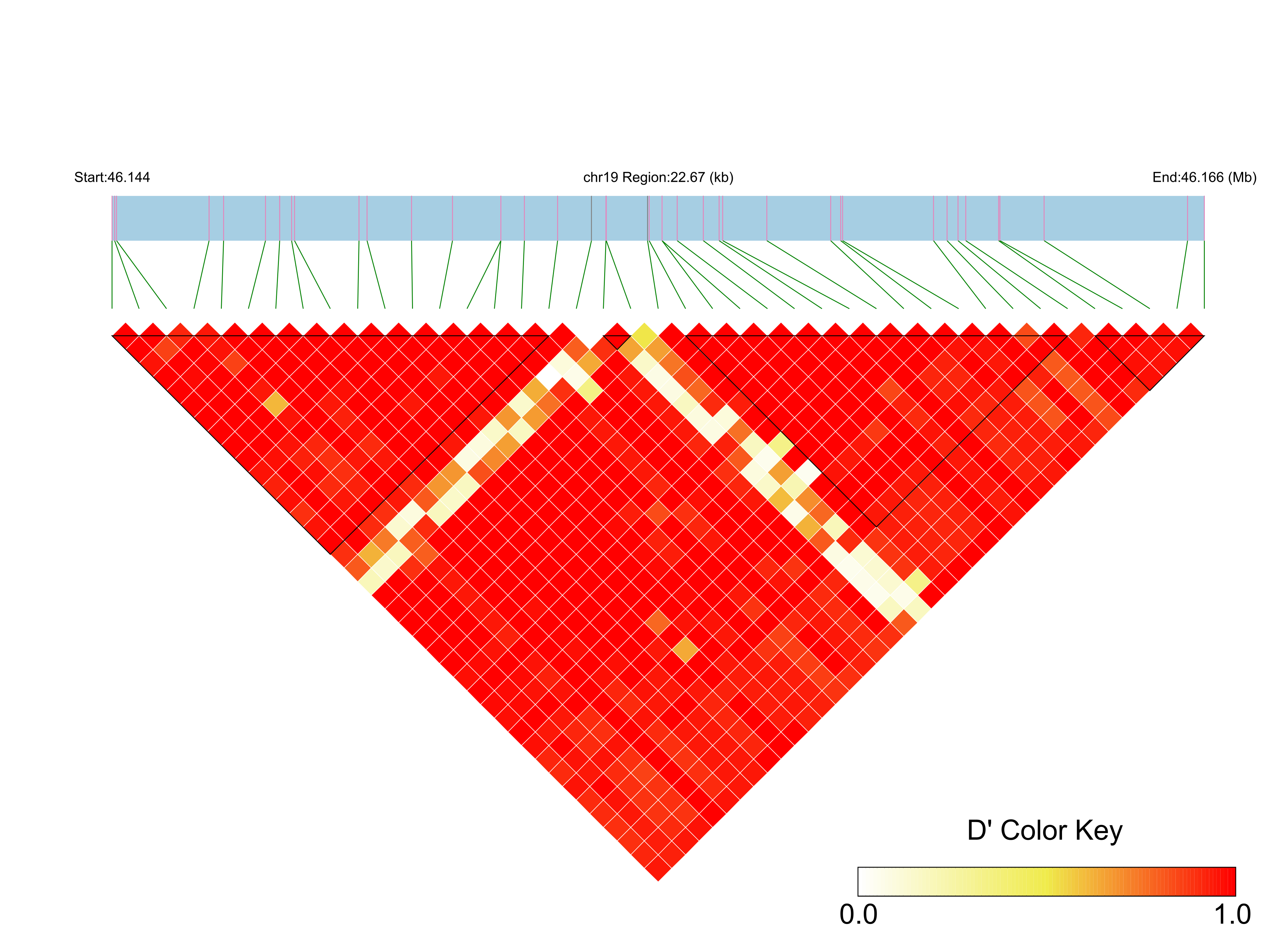 LD