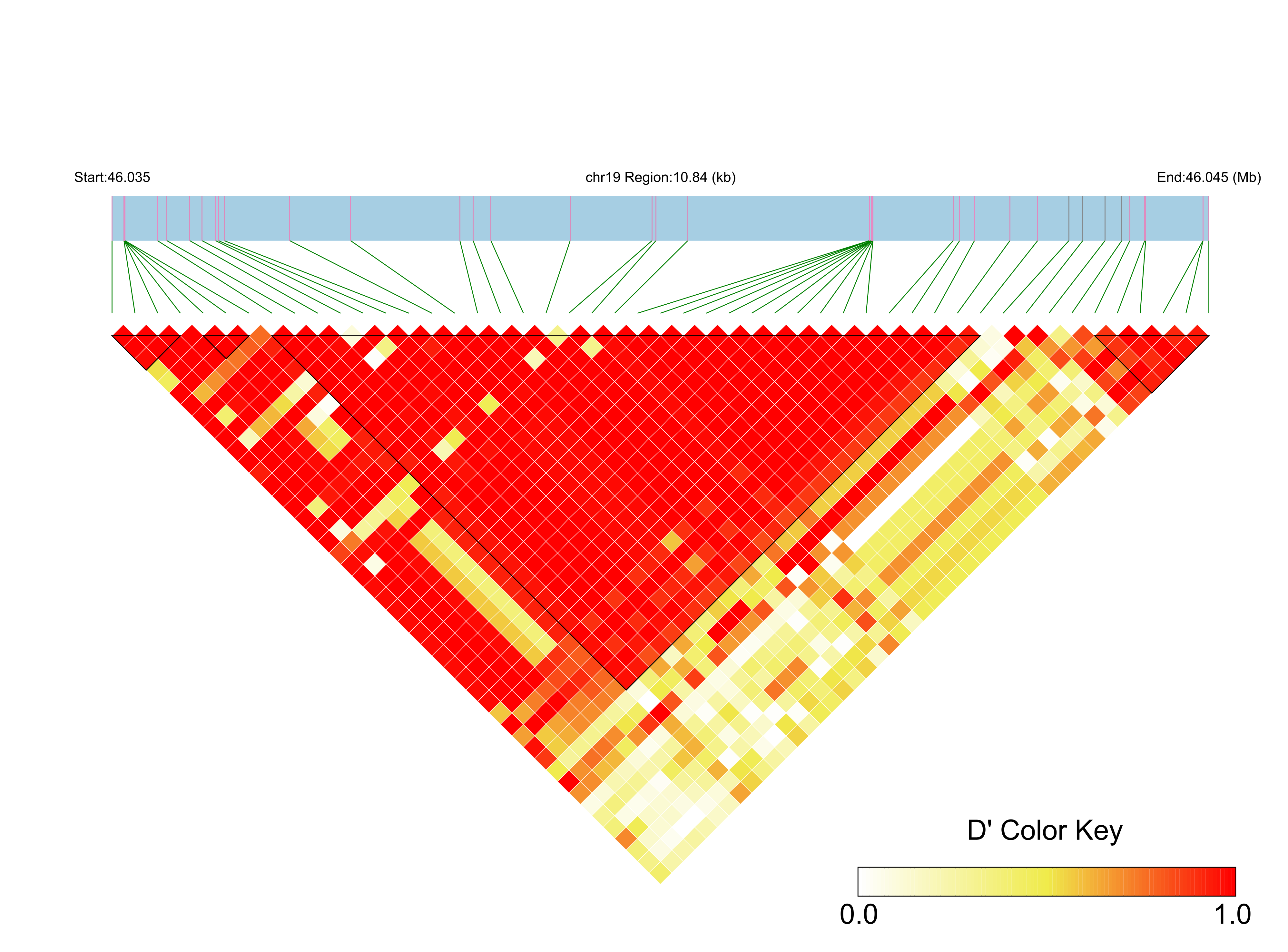 LD