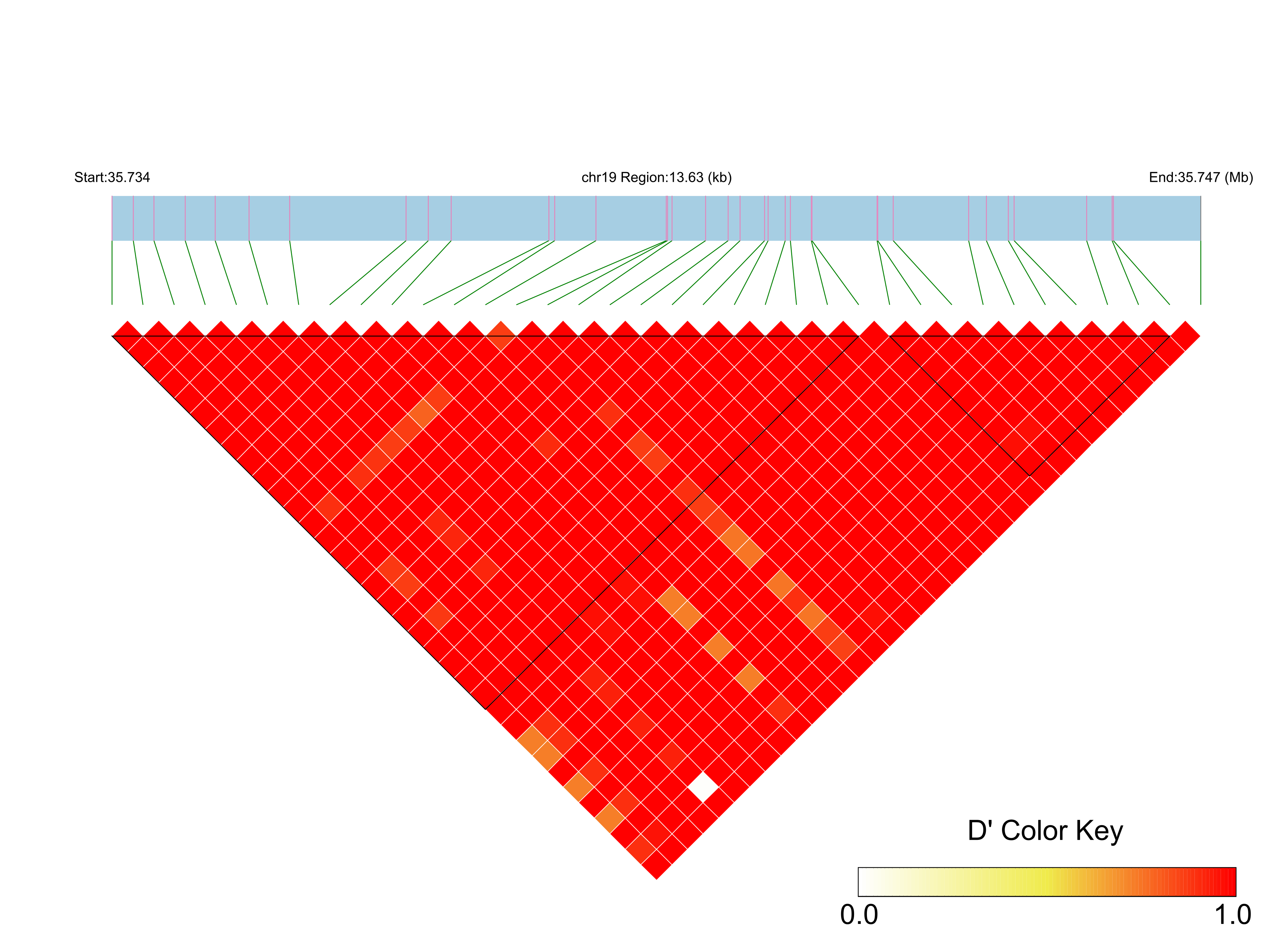 LD