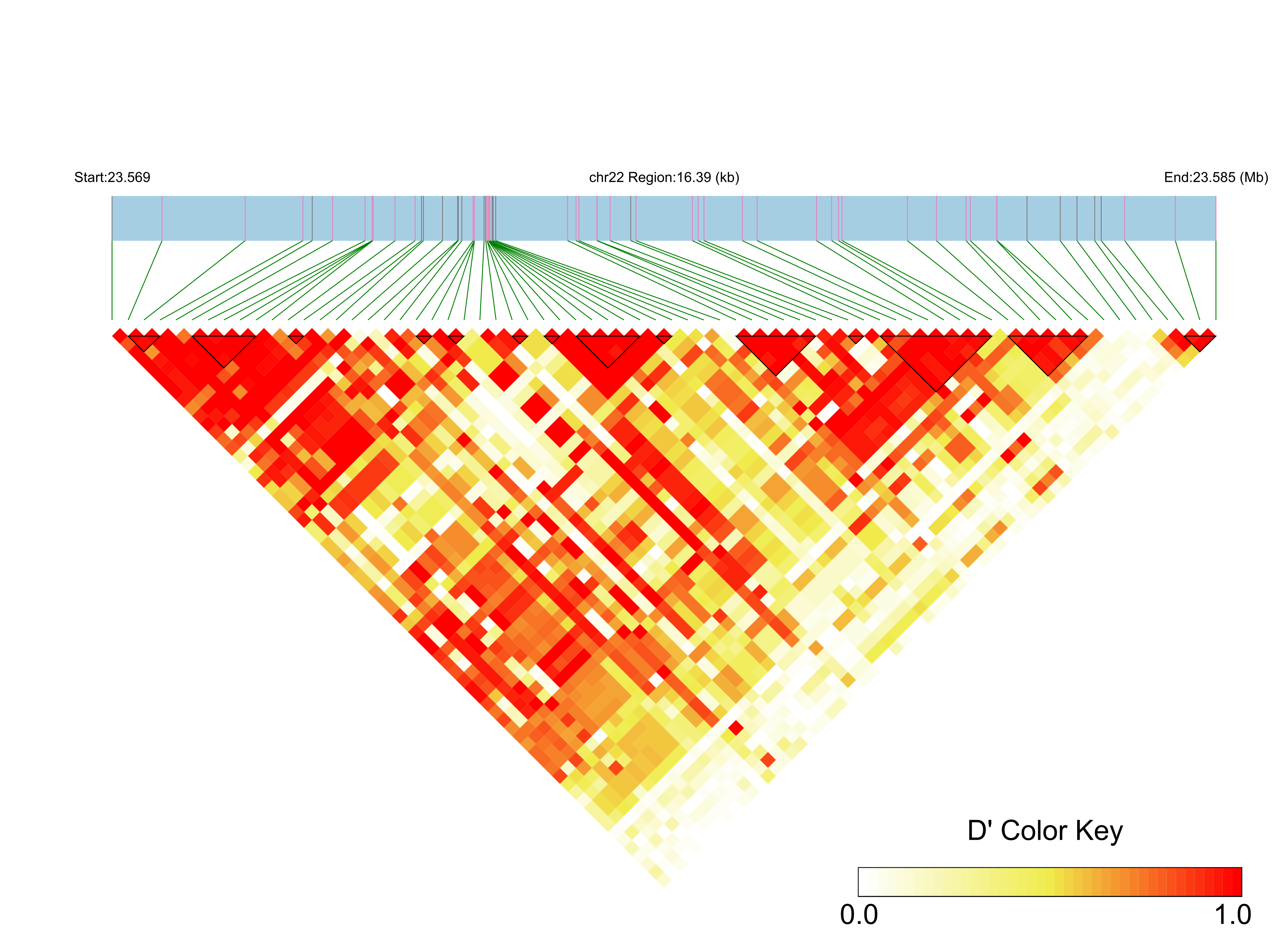 LD