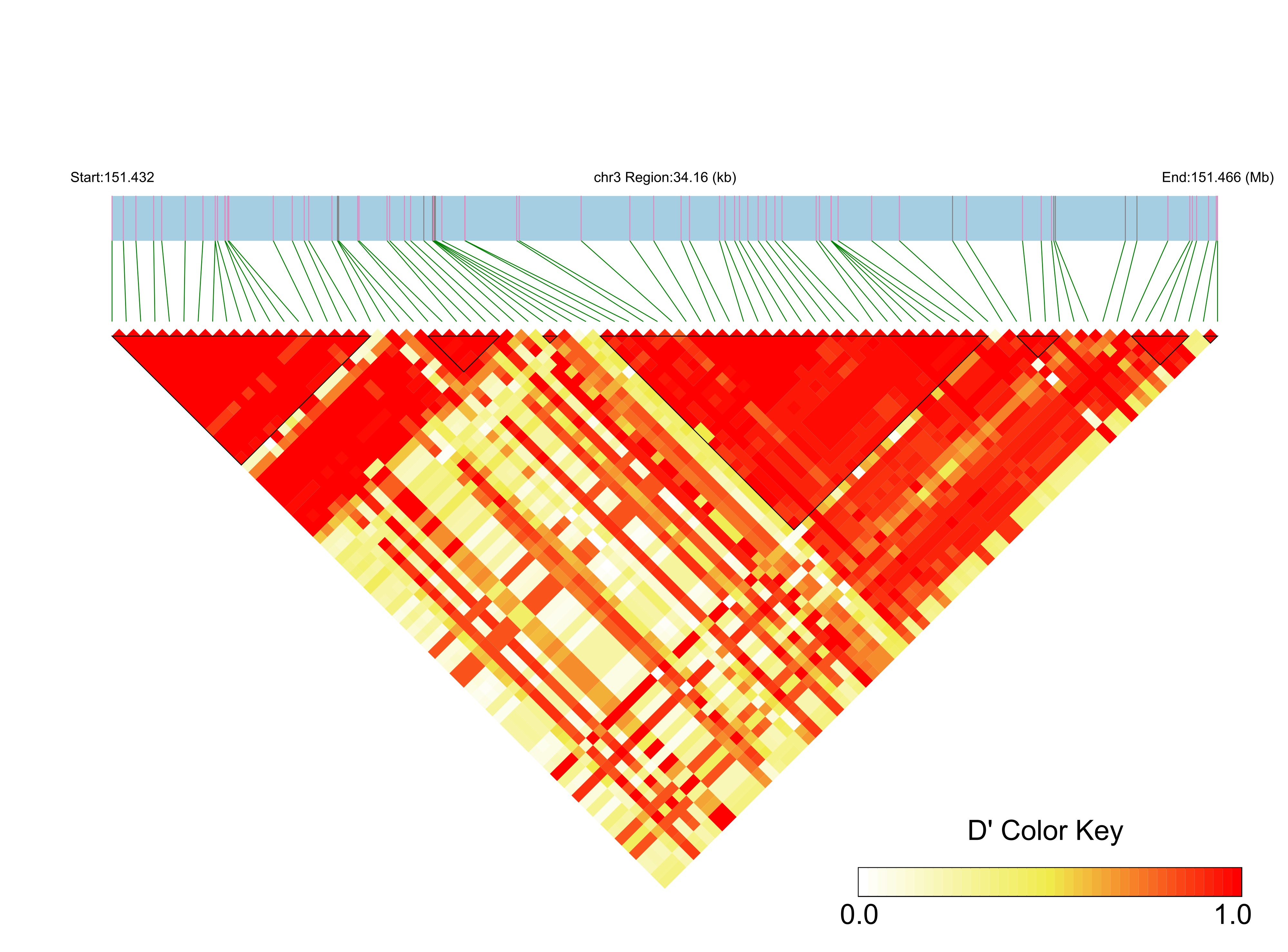 LD