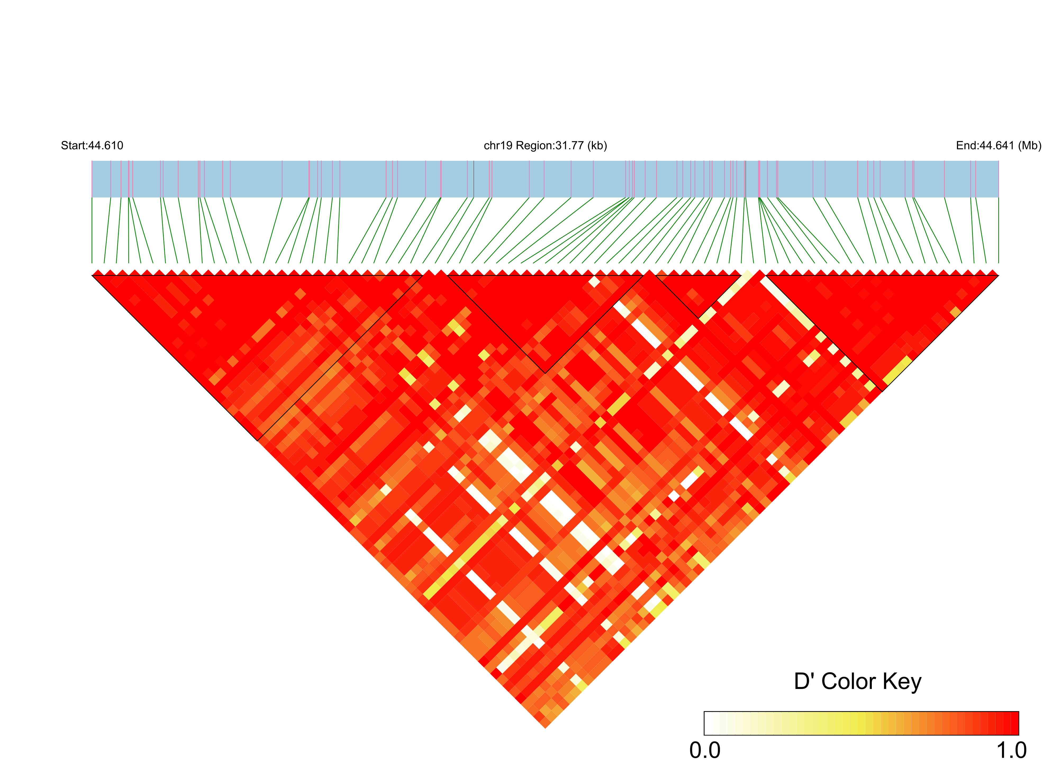 LD