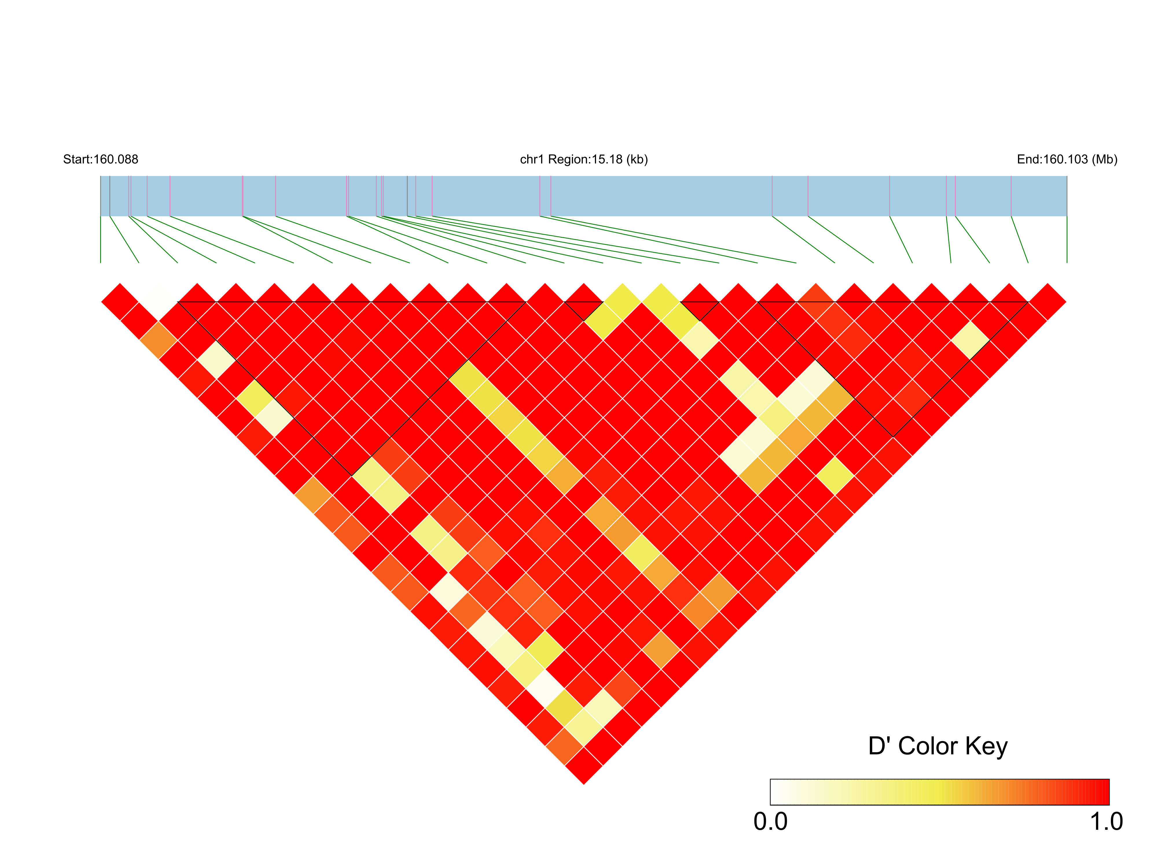 LD