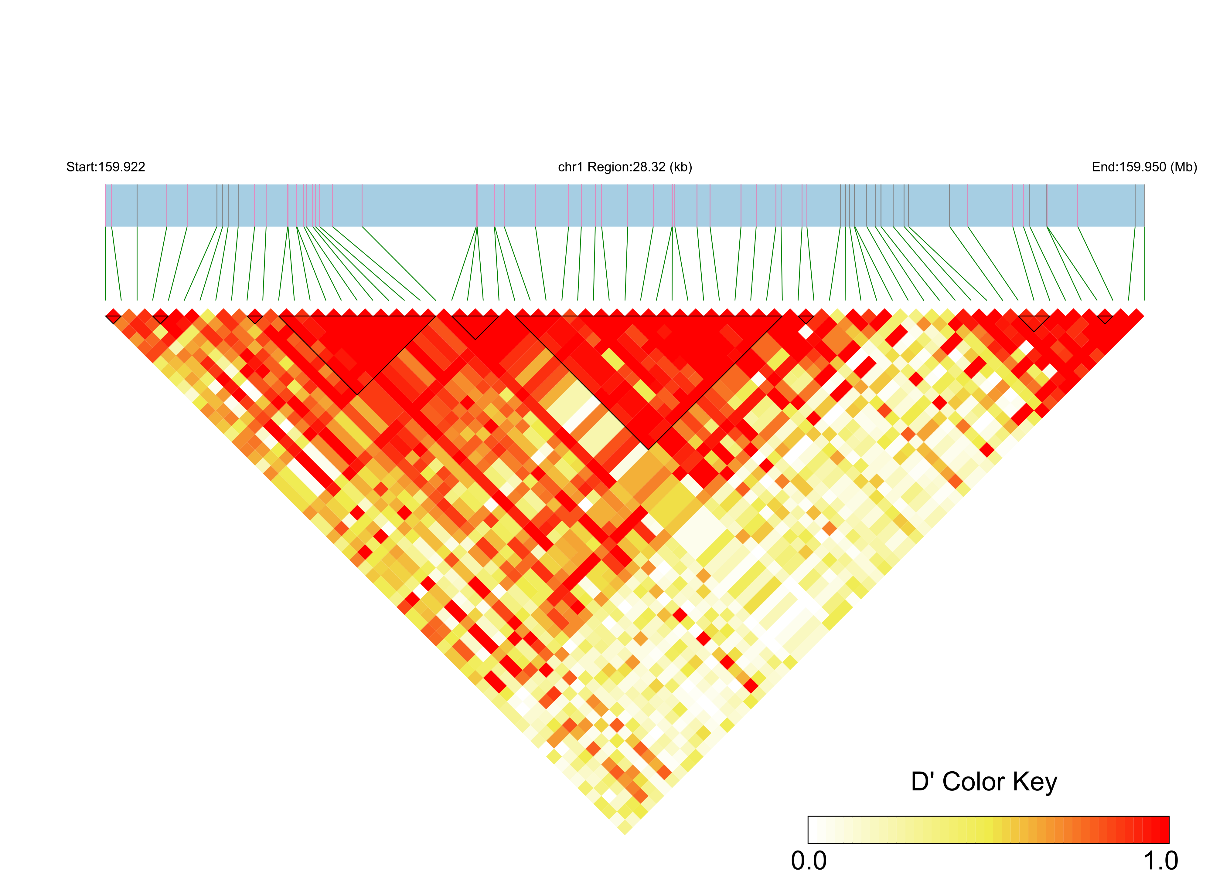 LD