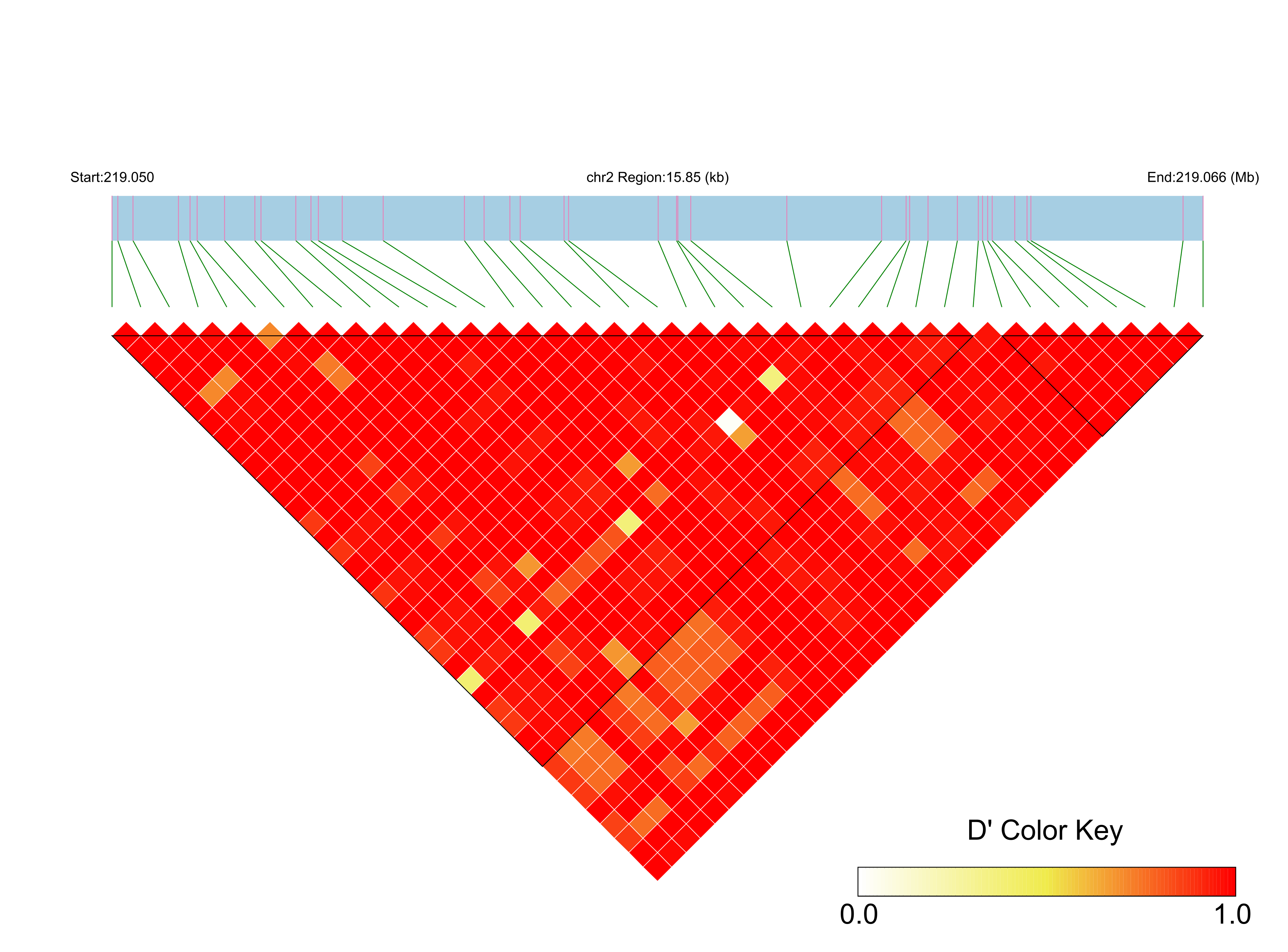 LD