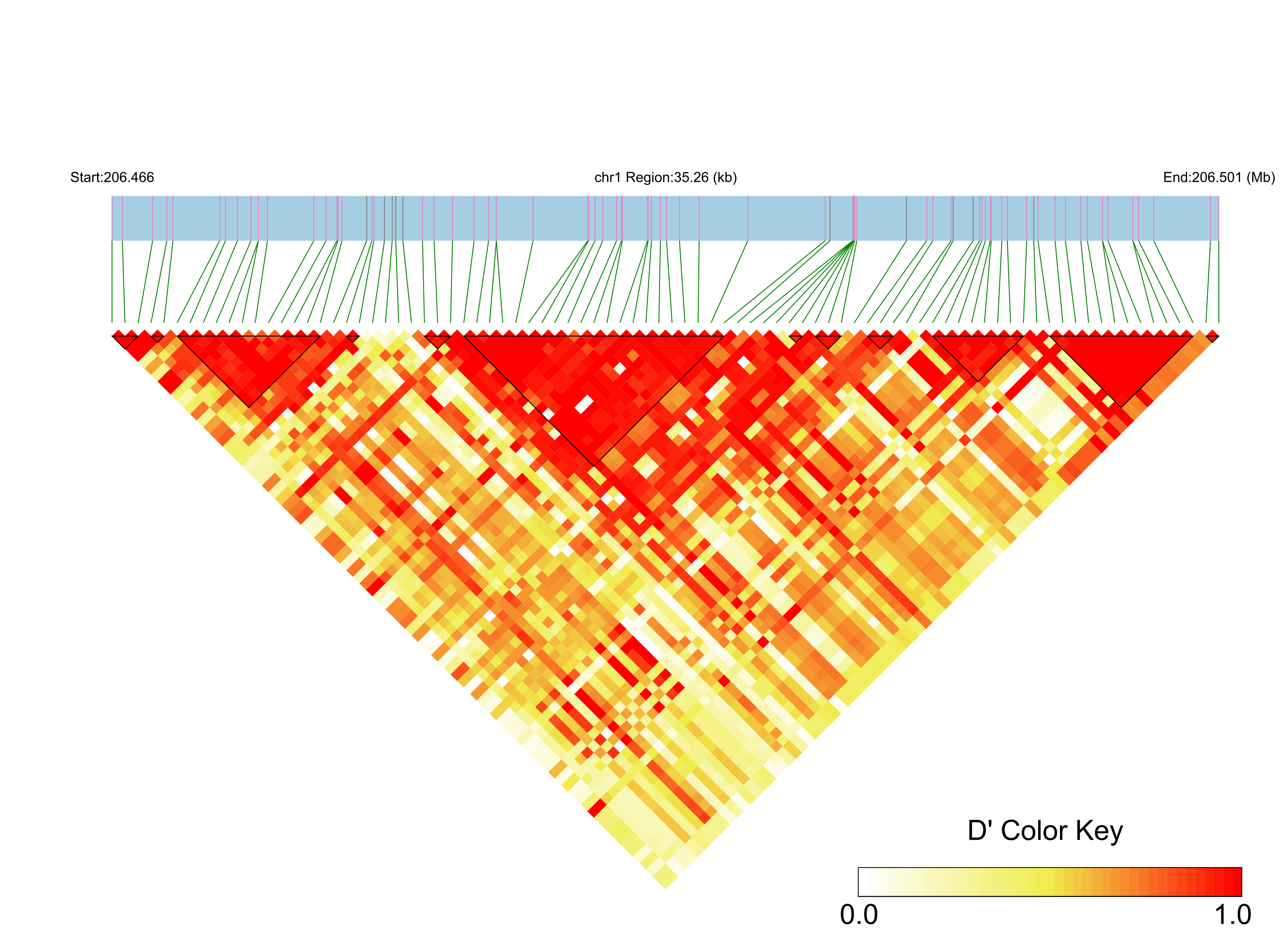 LD