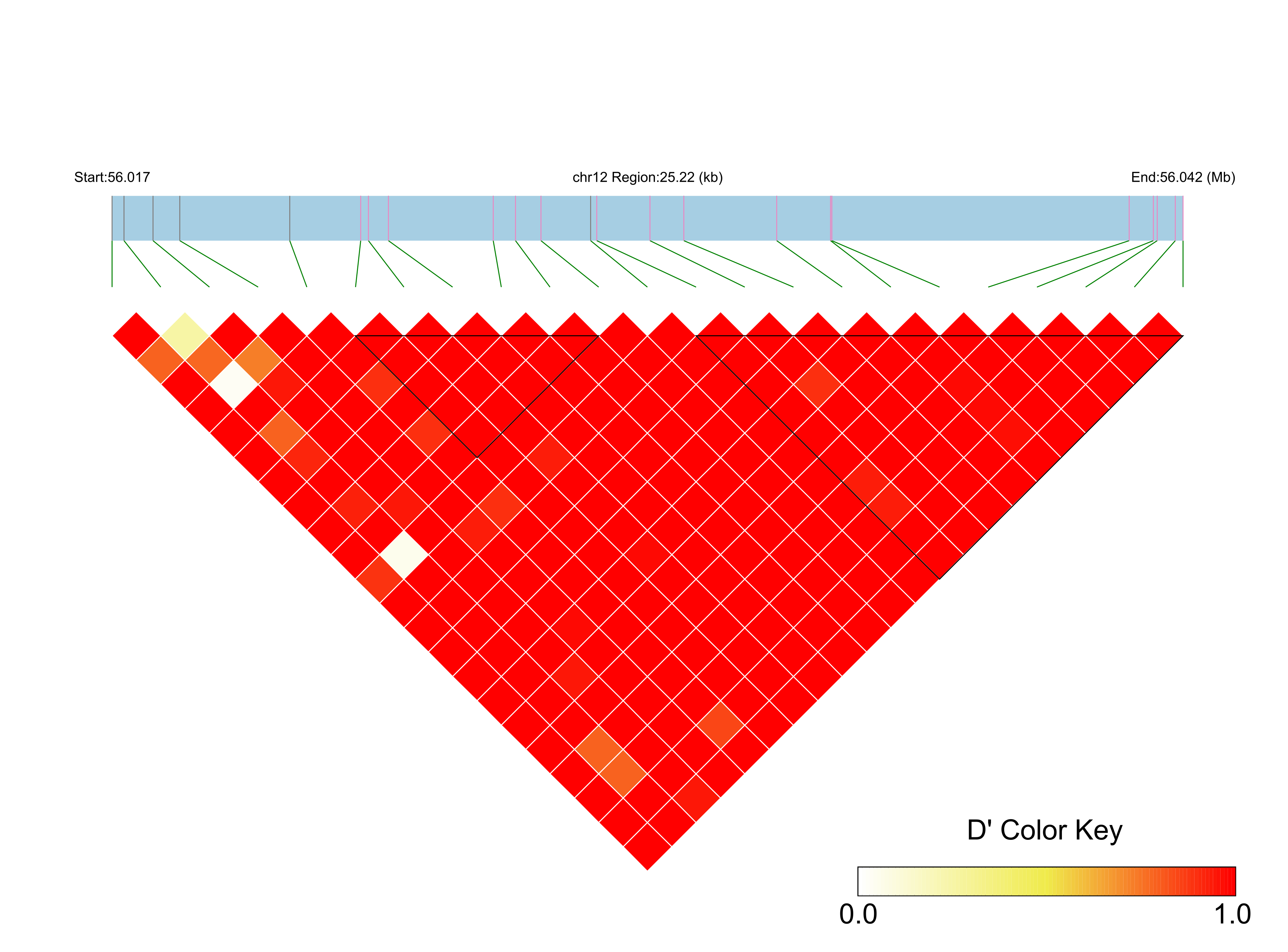 LD