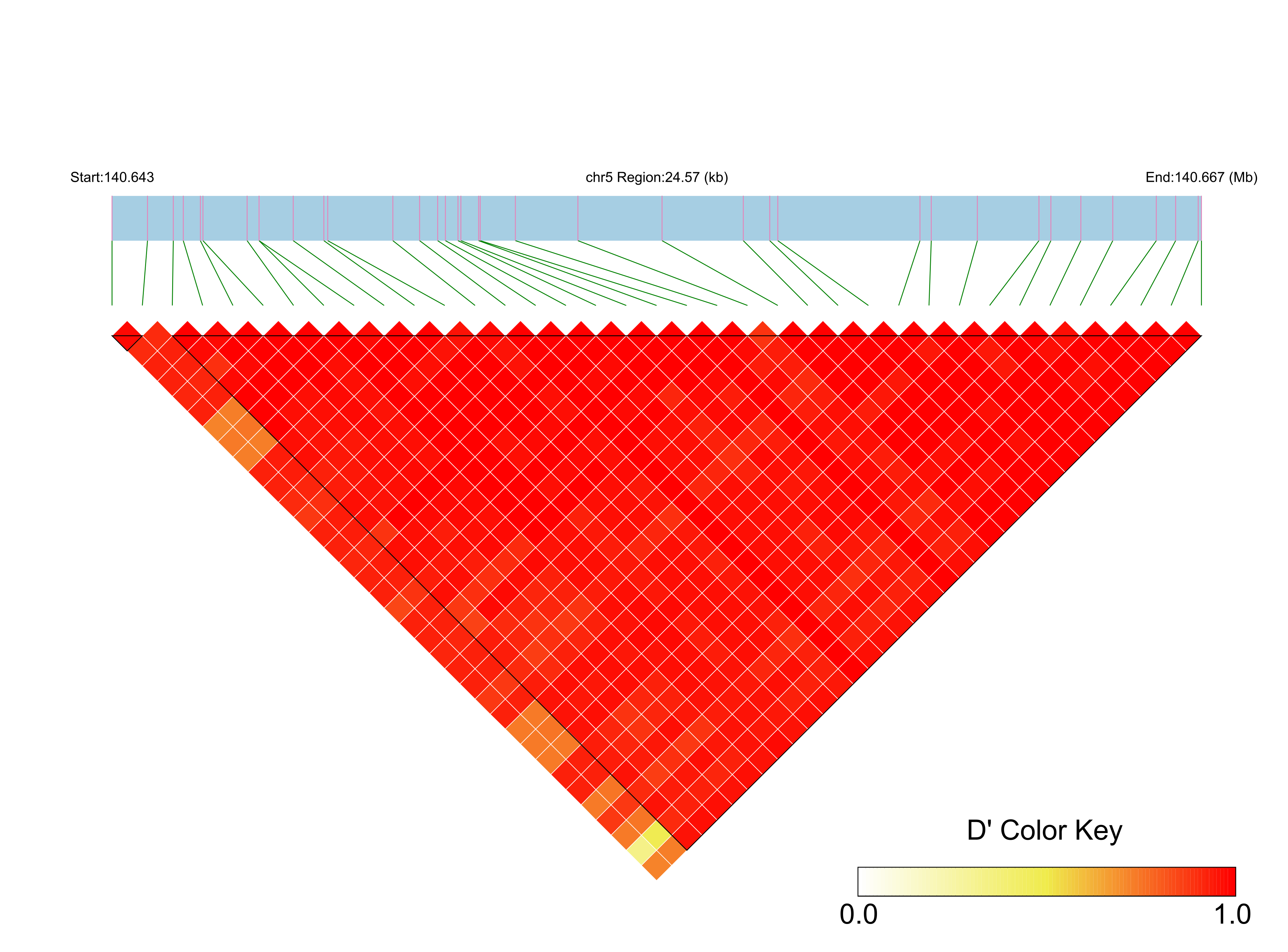 LD