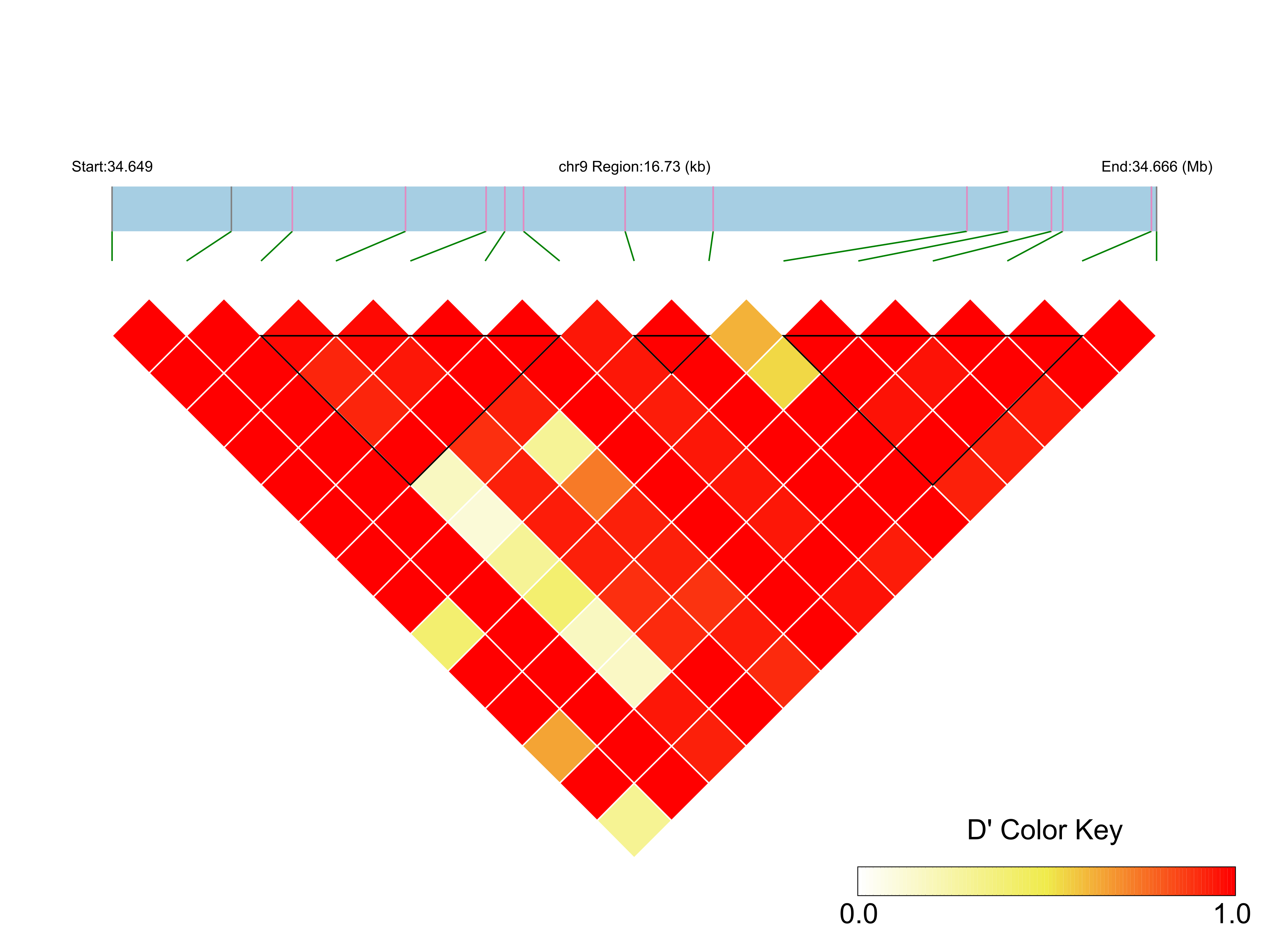 LD
