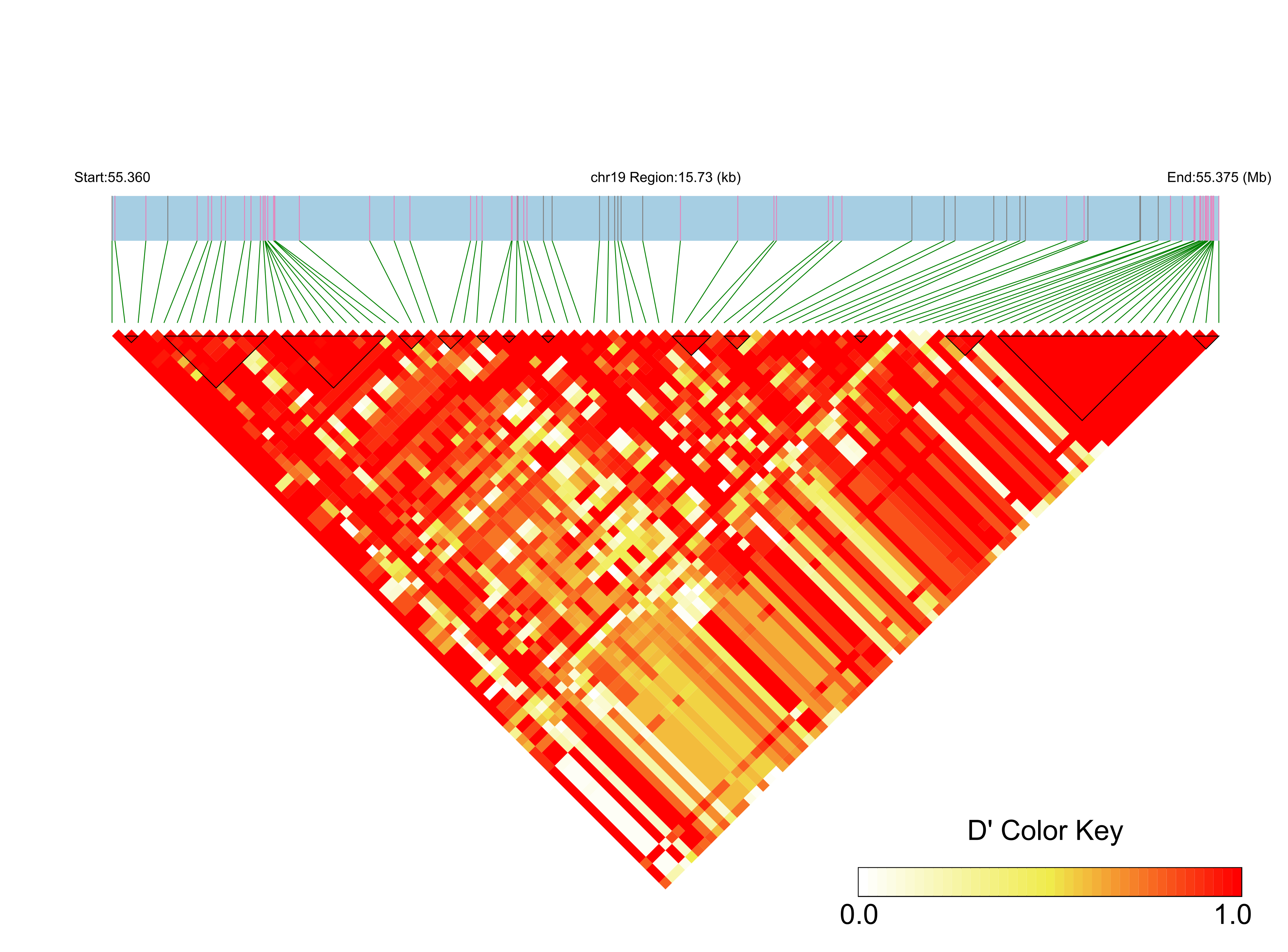 LD