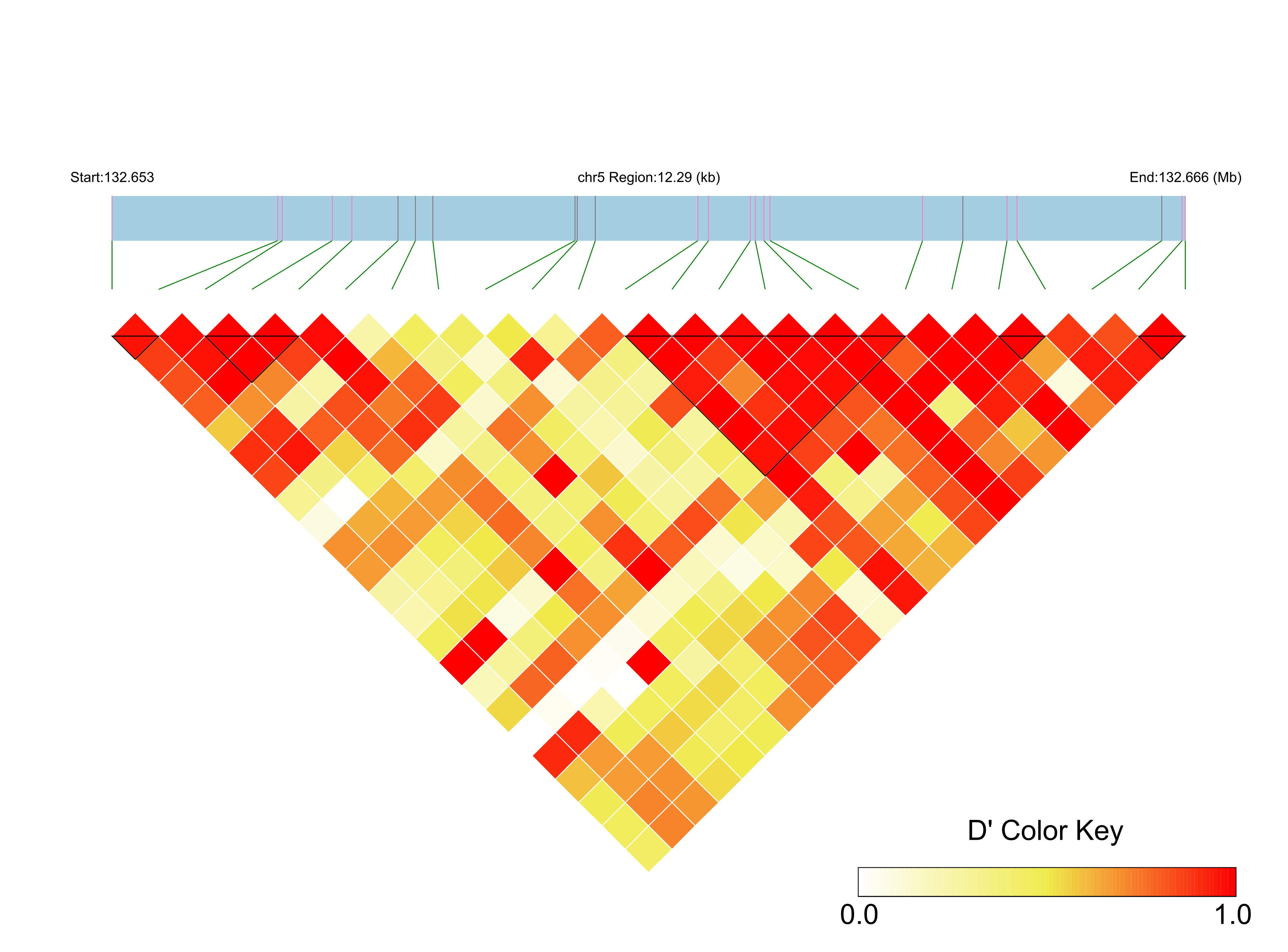 LD