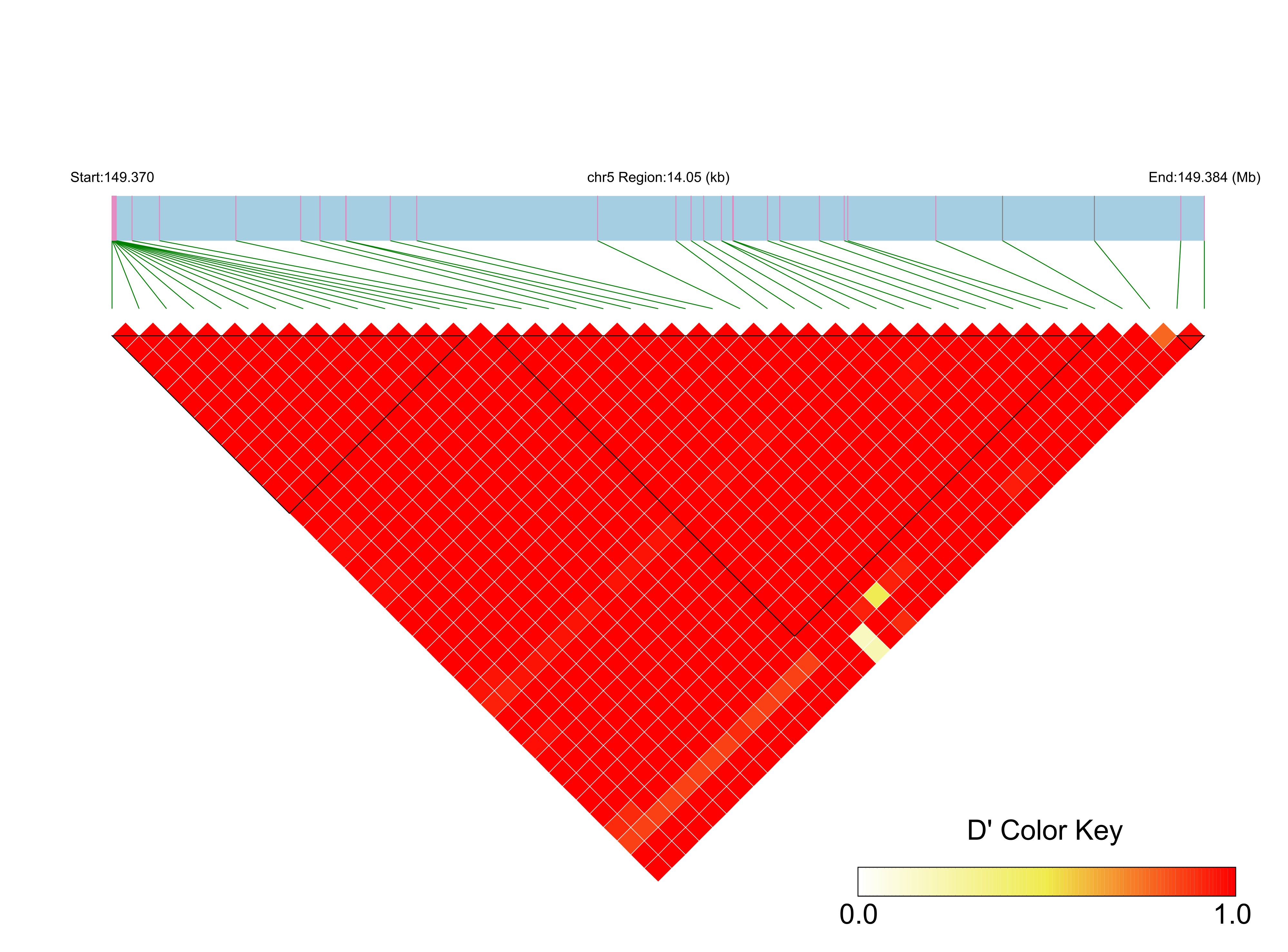 LD