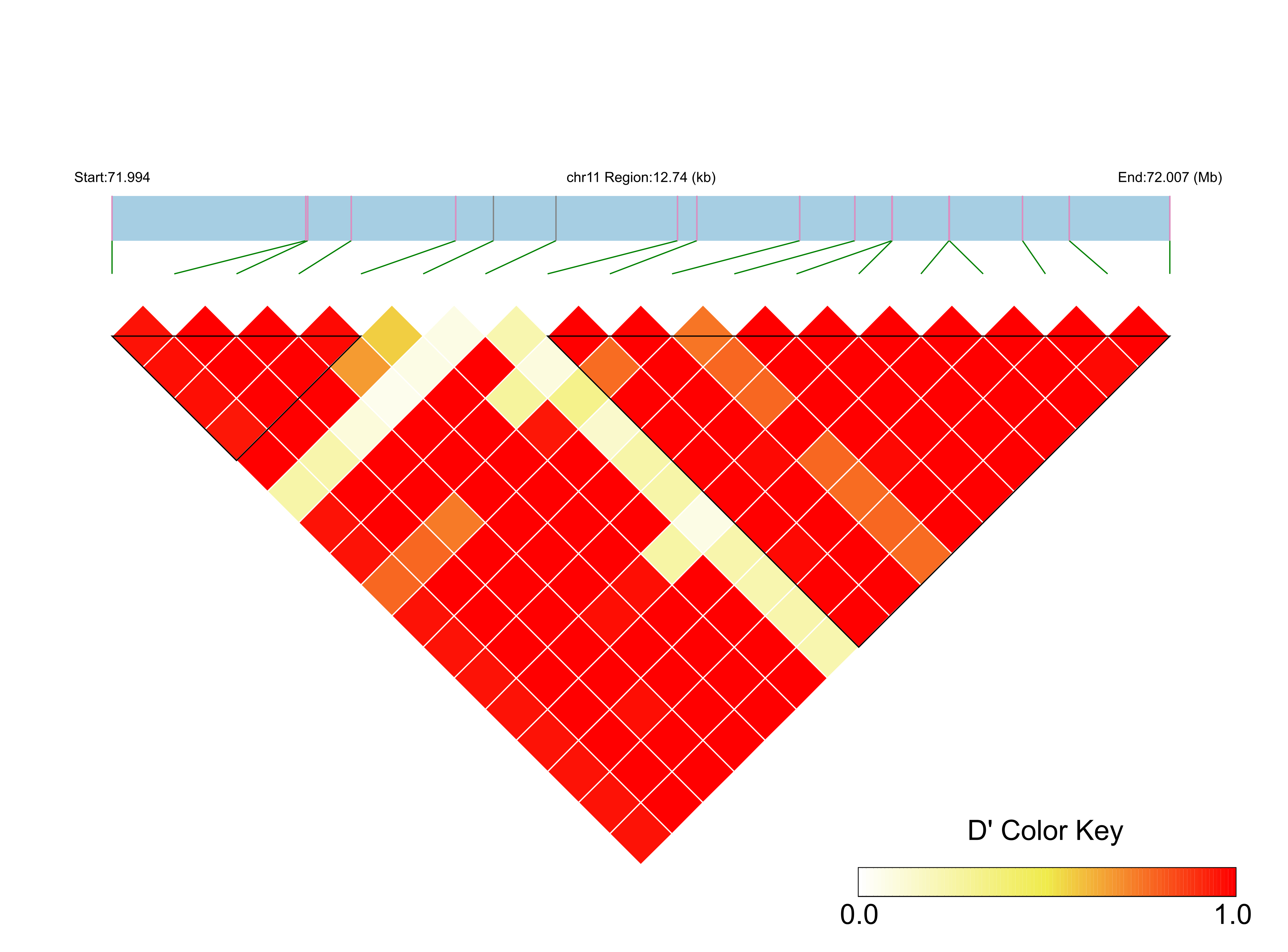 LD