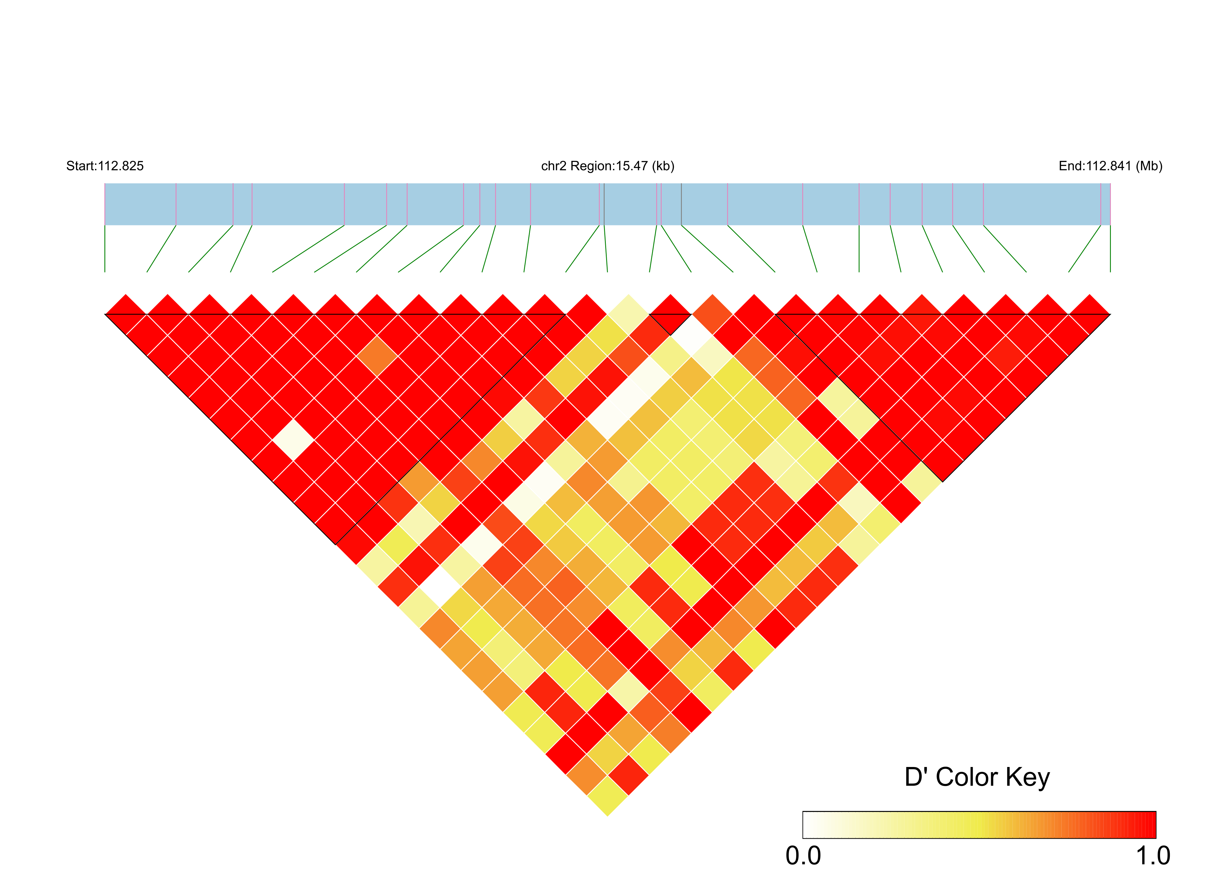 LD