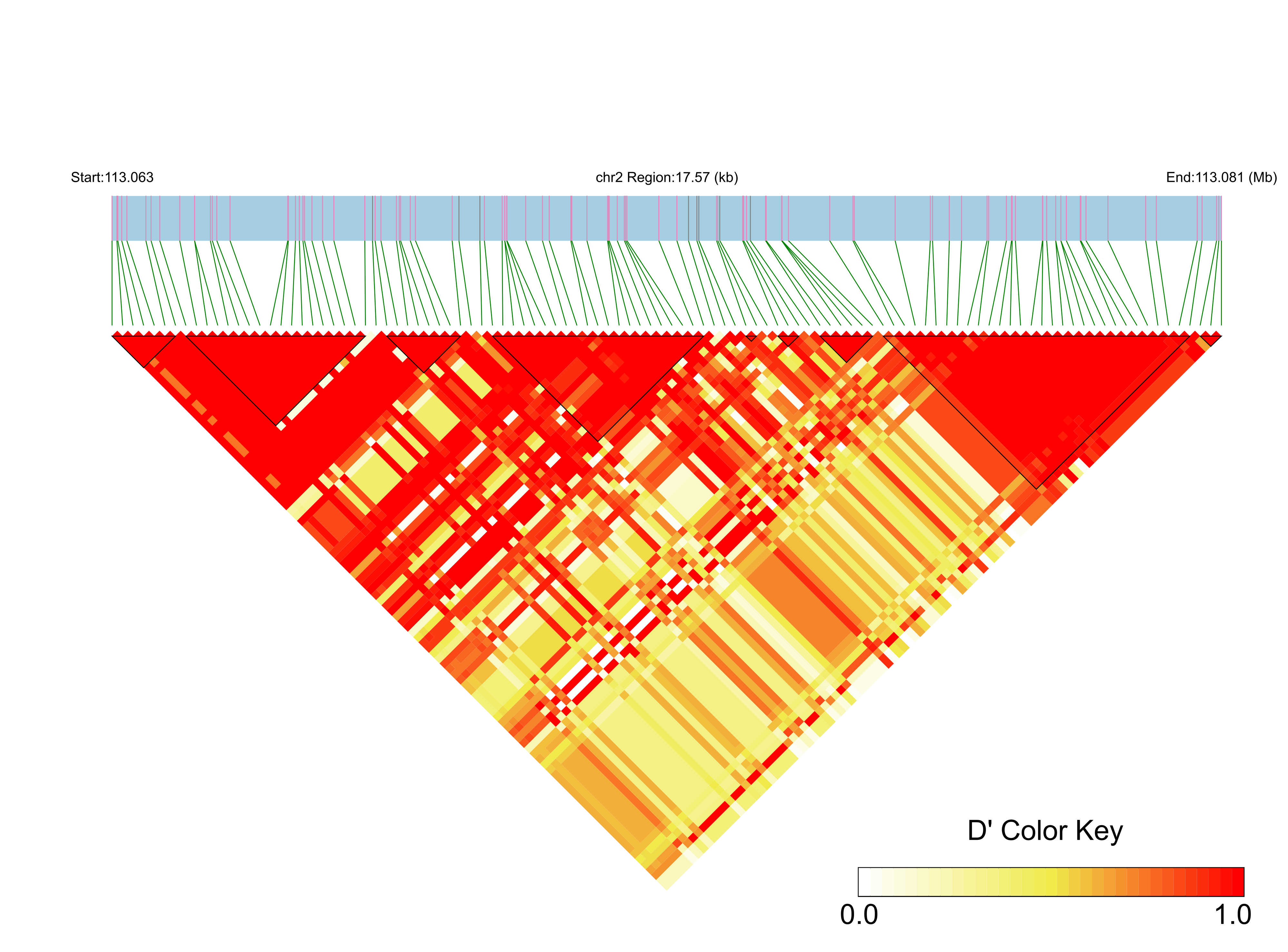 LD