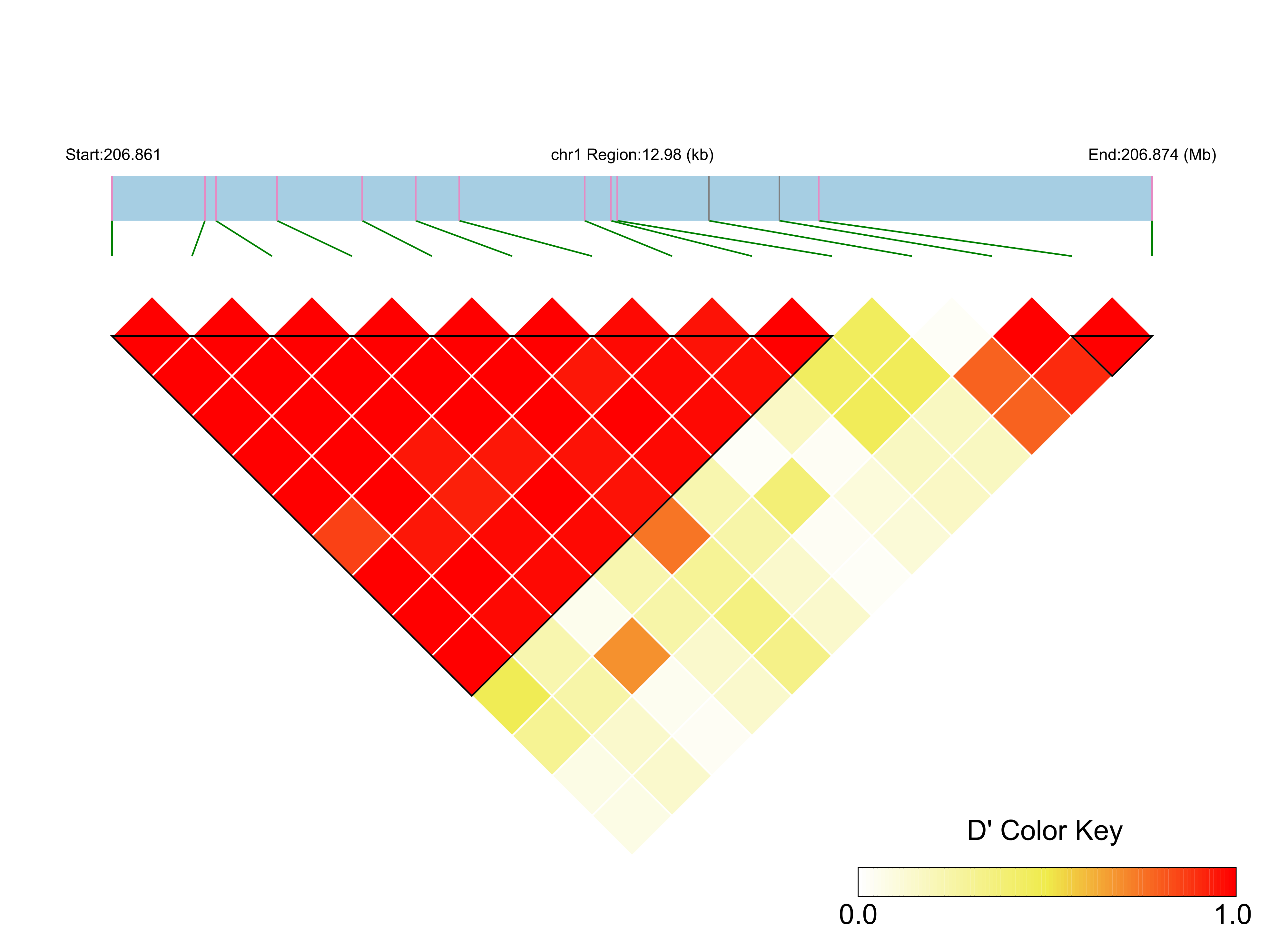 LD