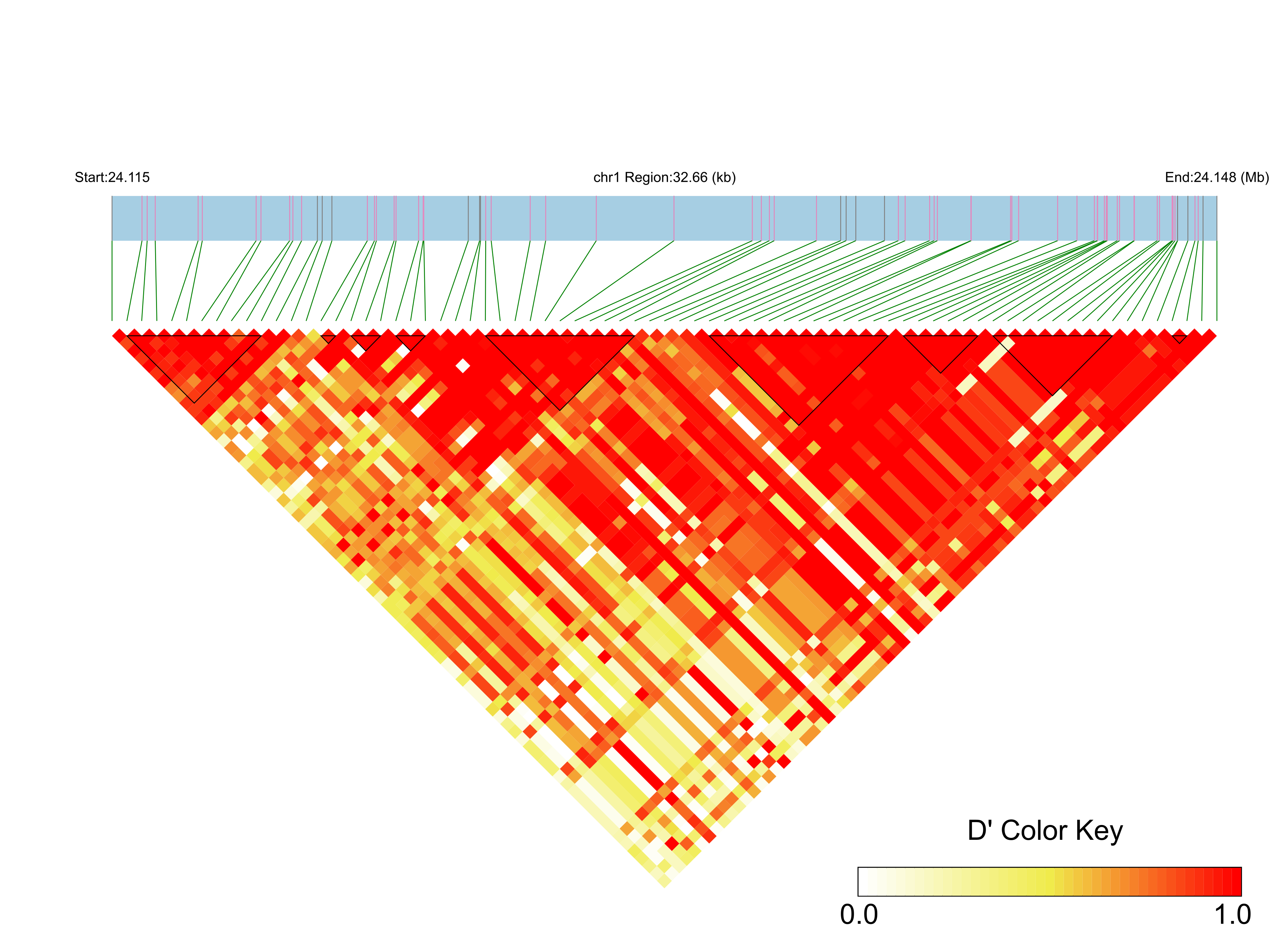 LD