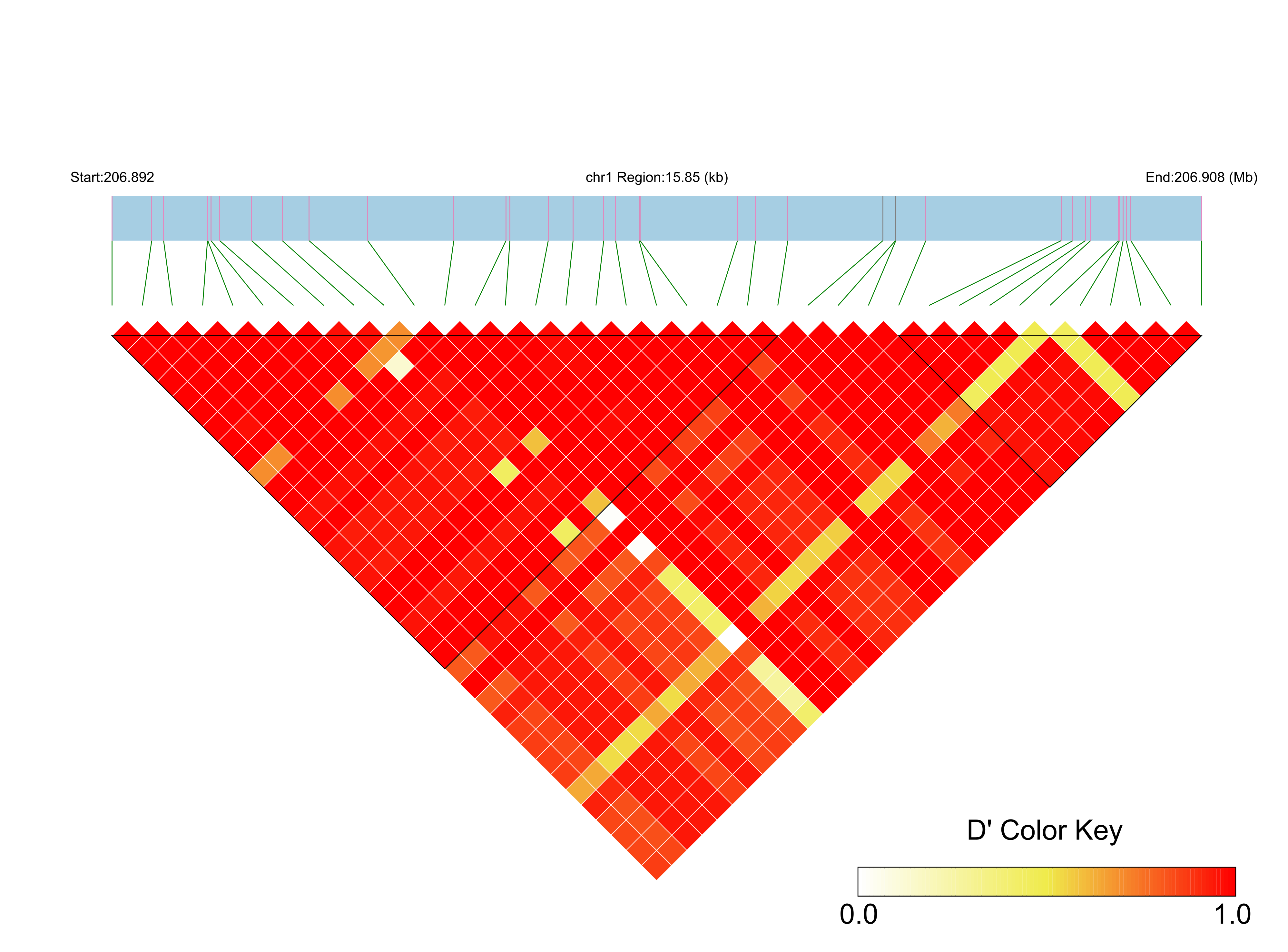 LD