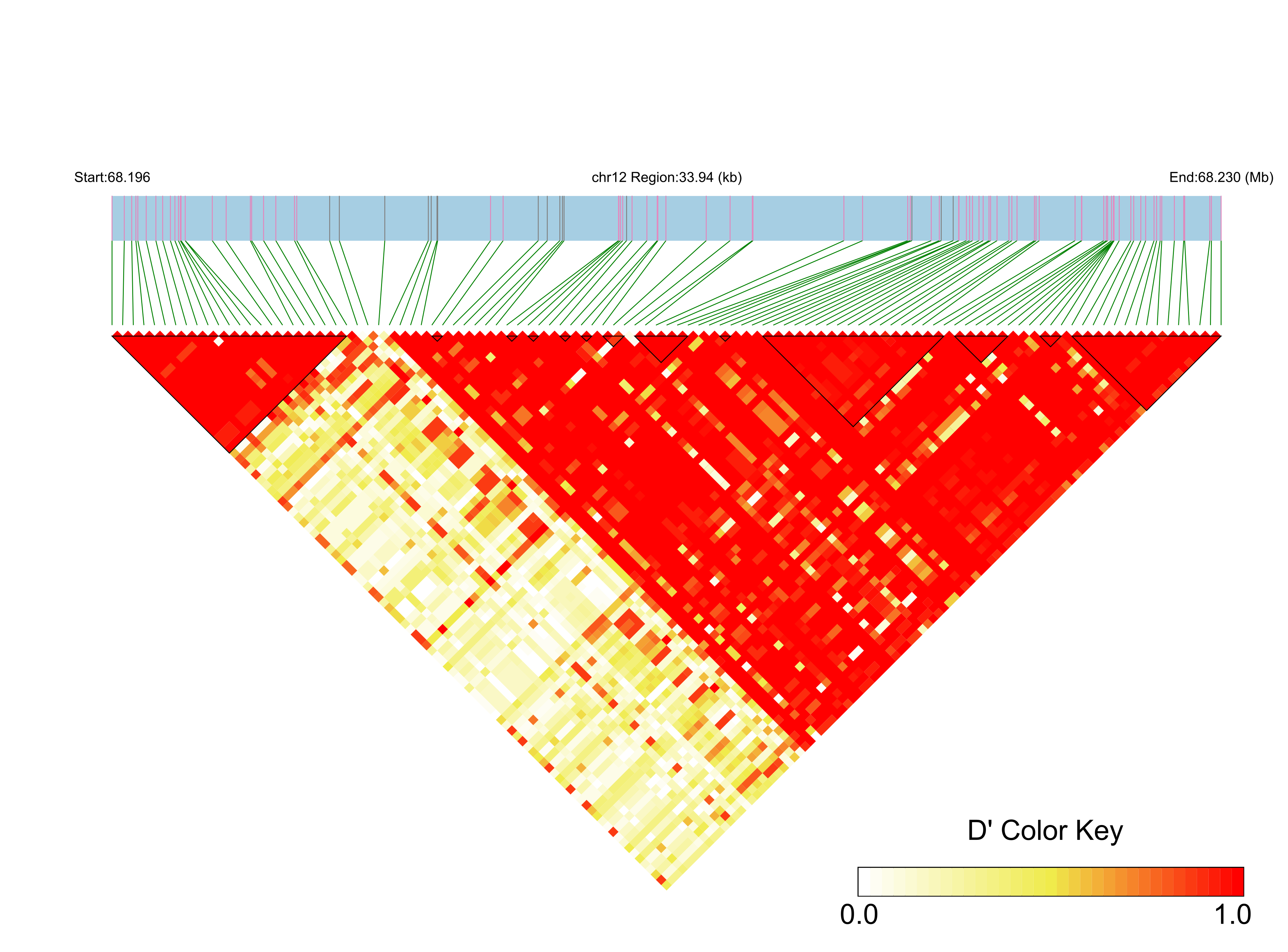 LD