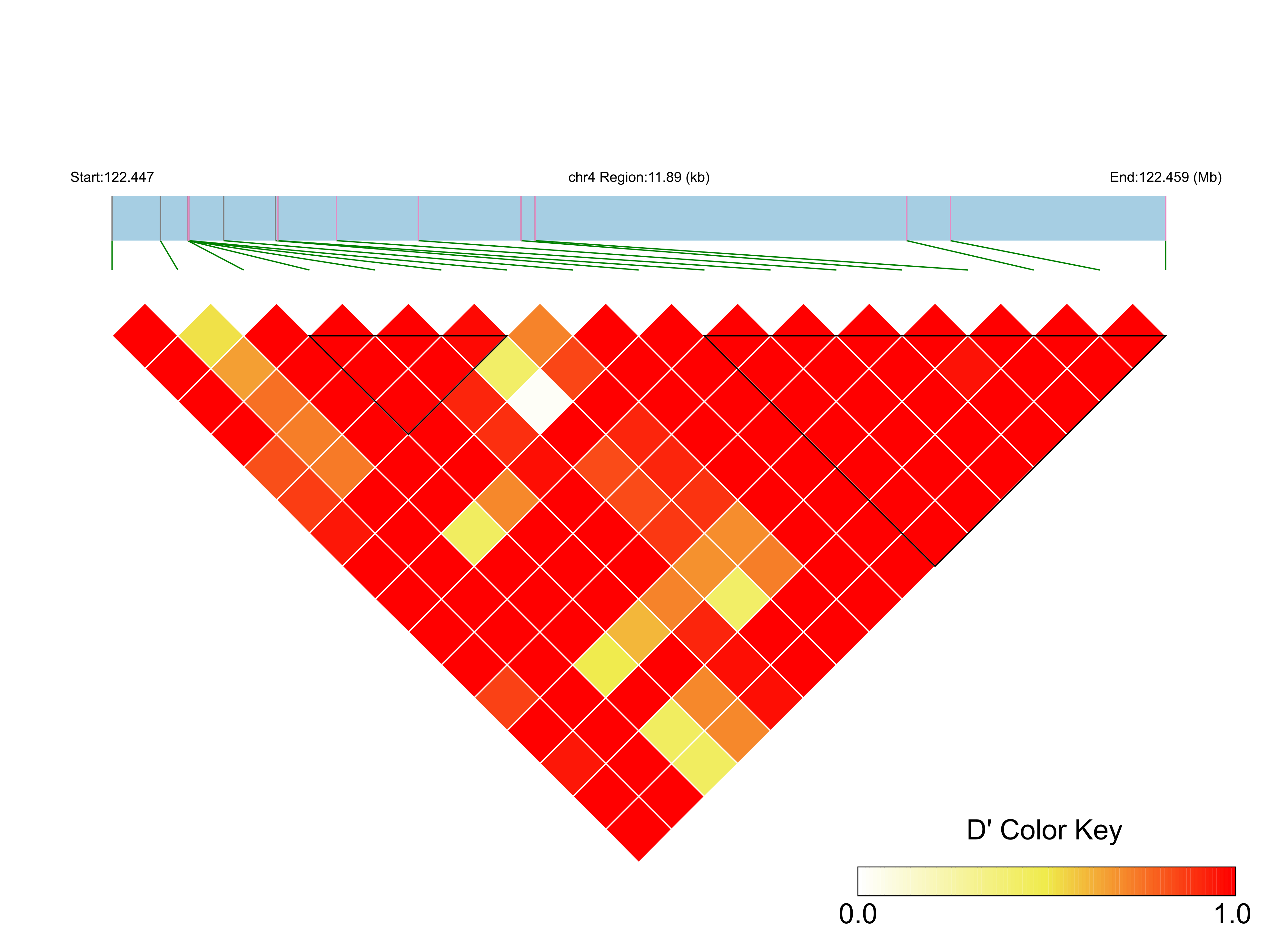 LD