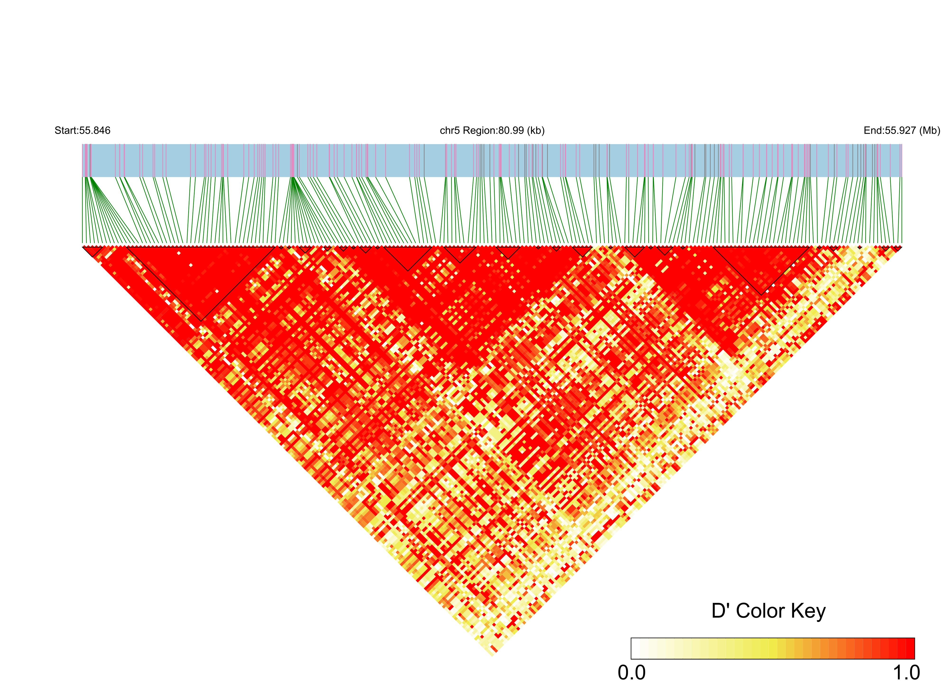 LD