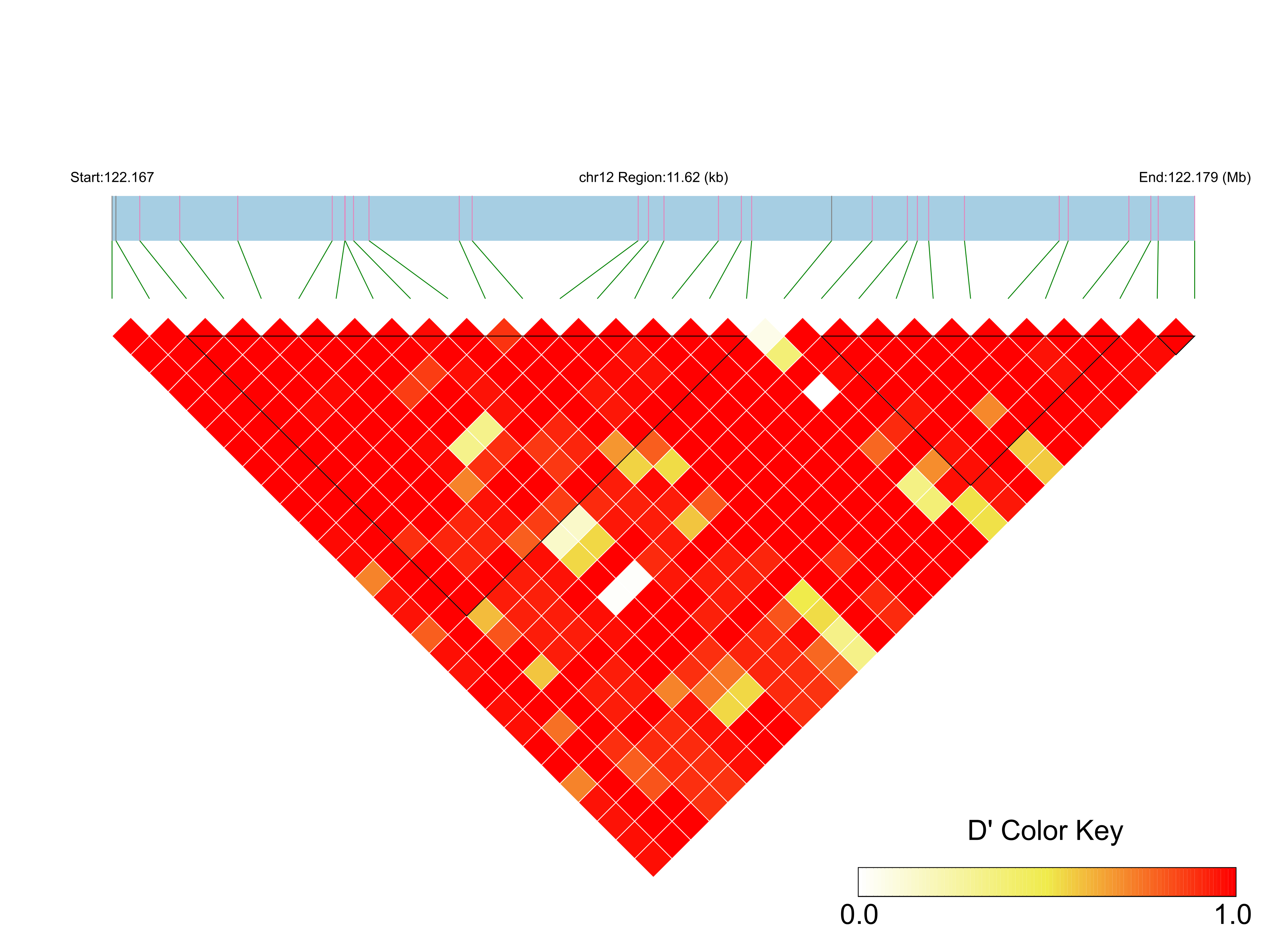 LD