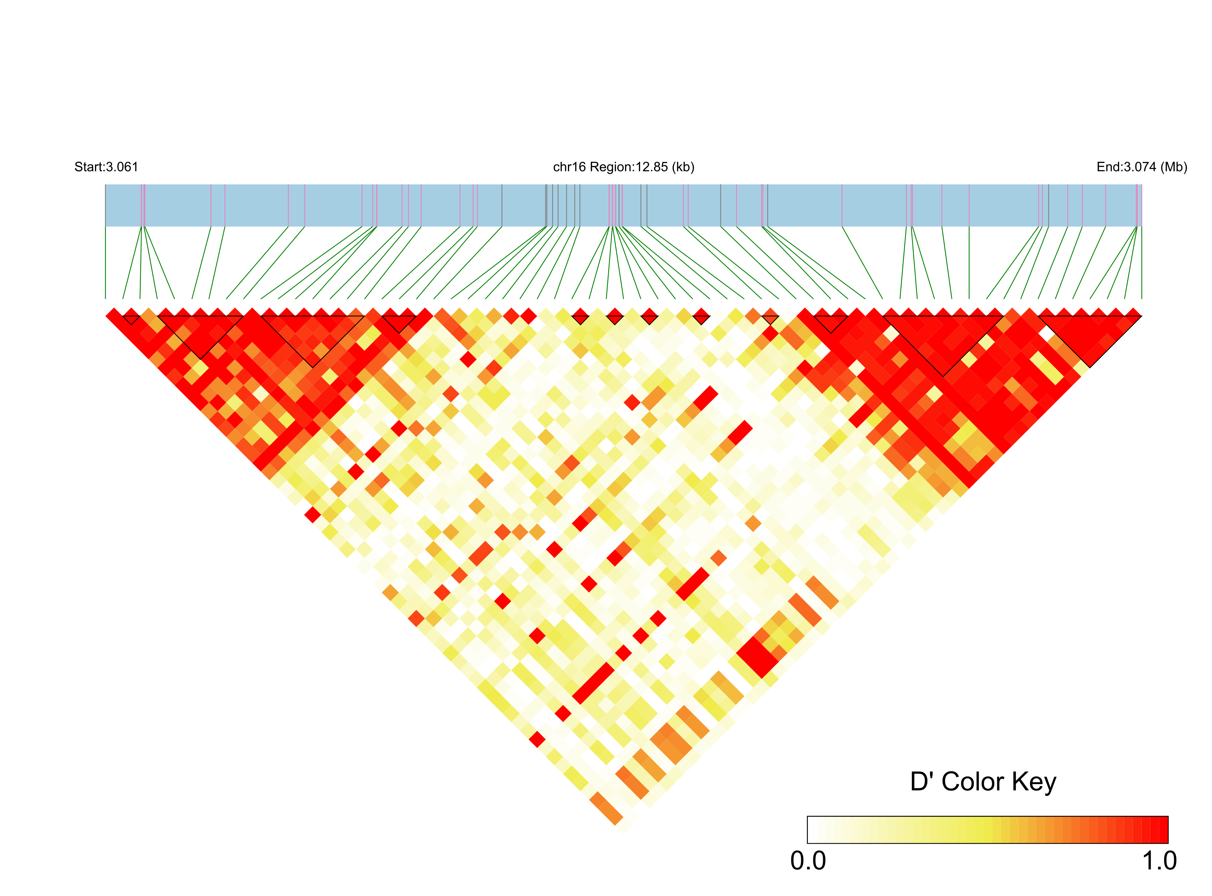 LD