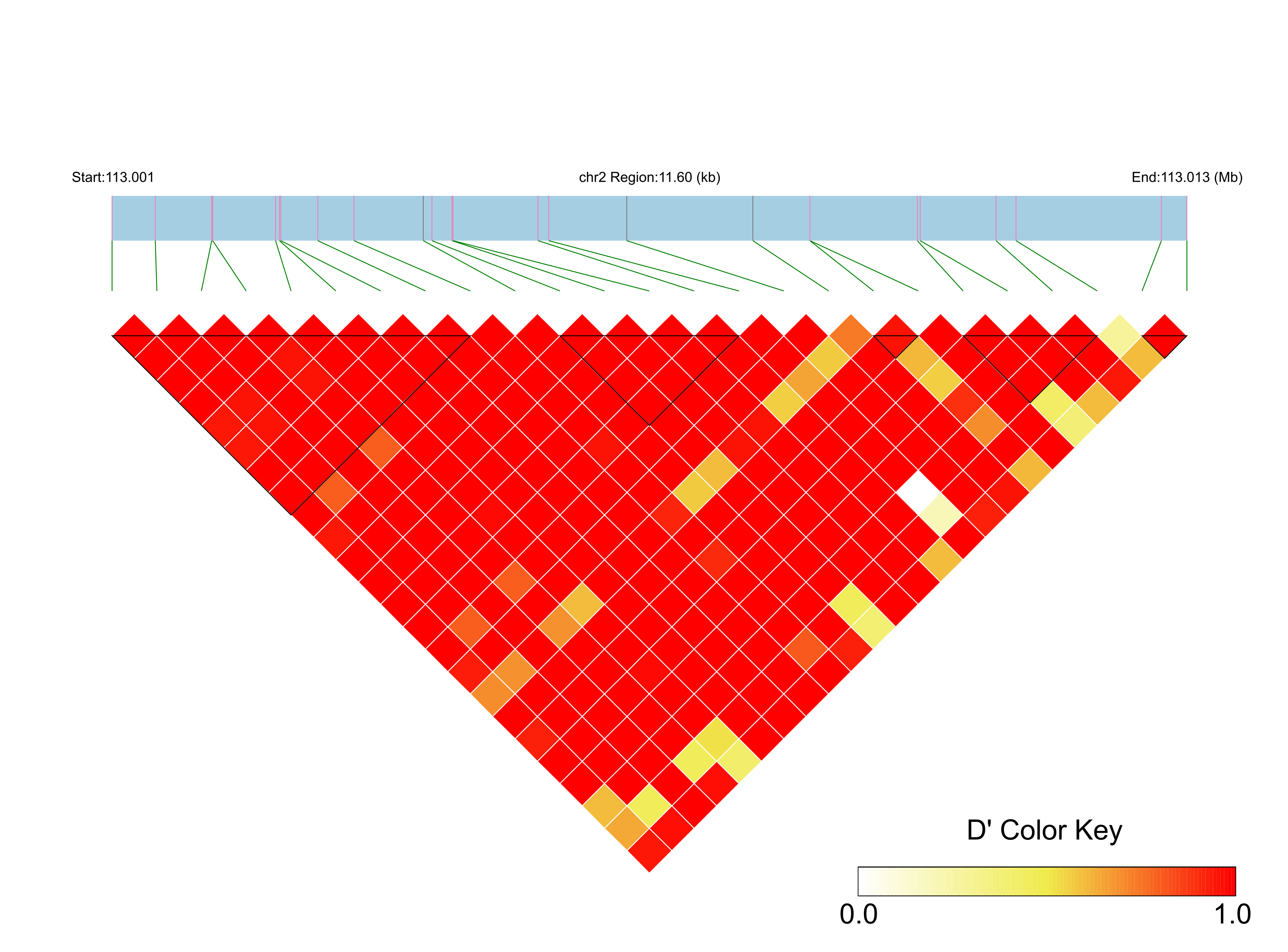 LD