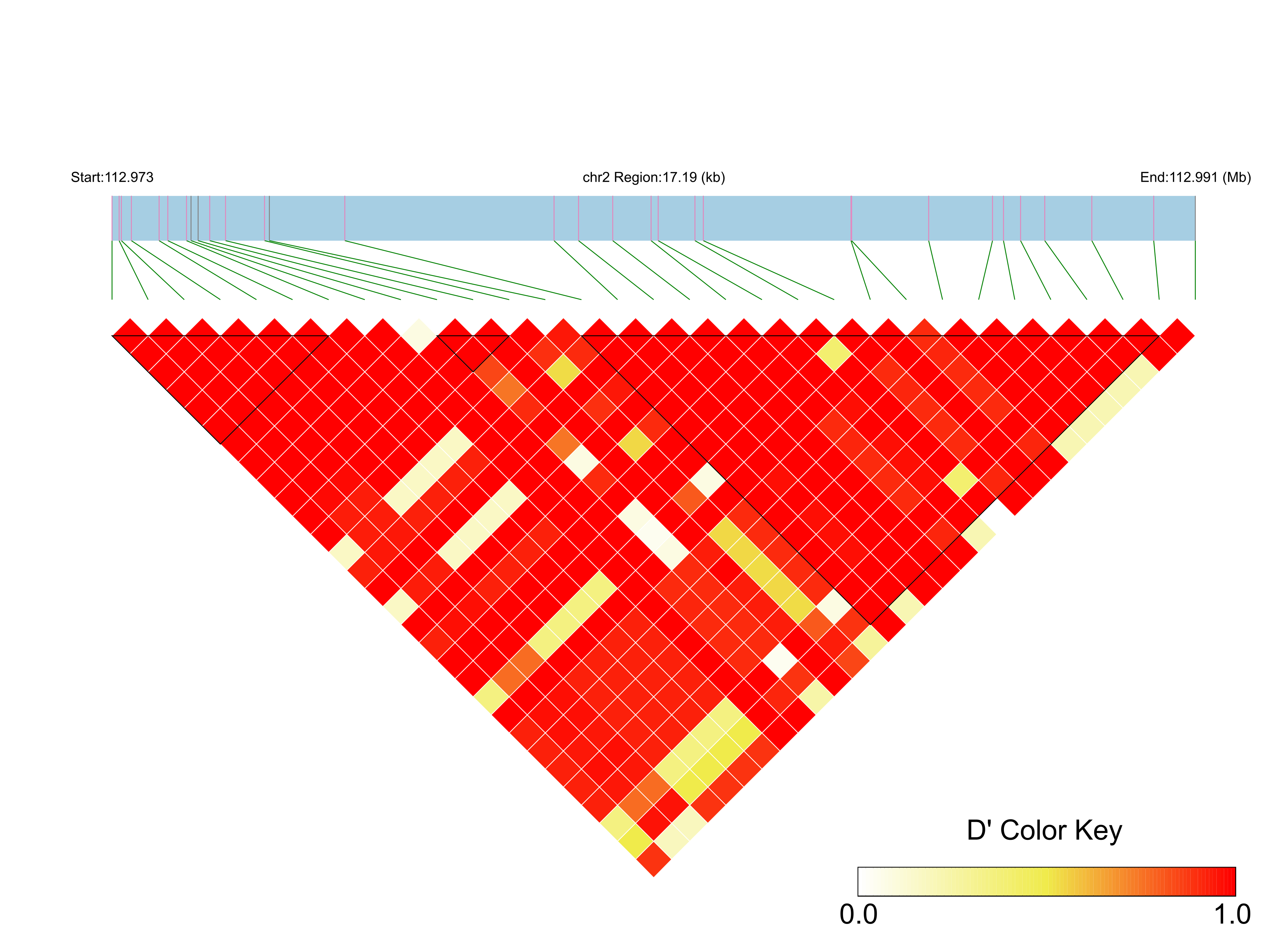 LD