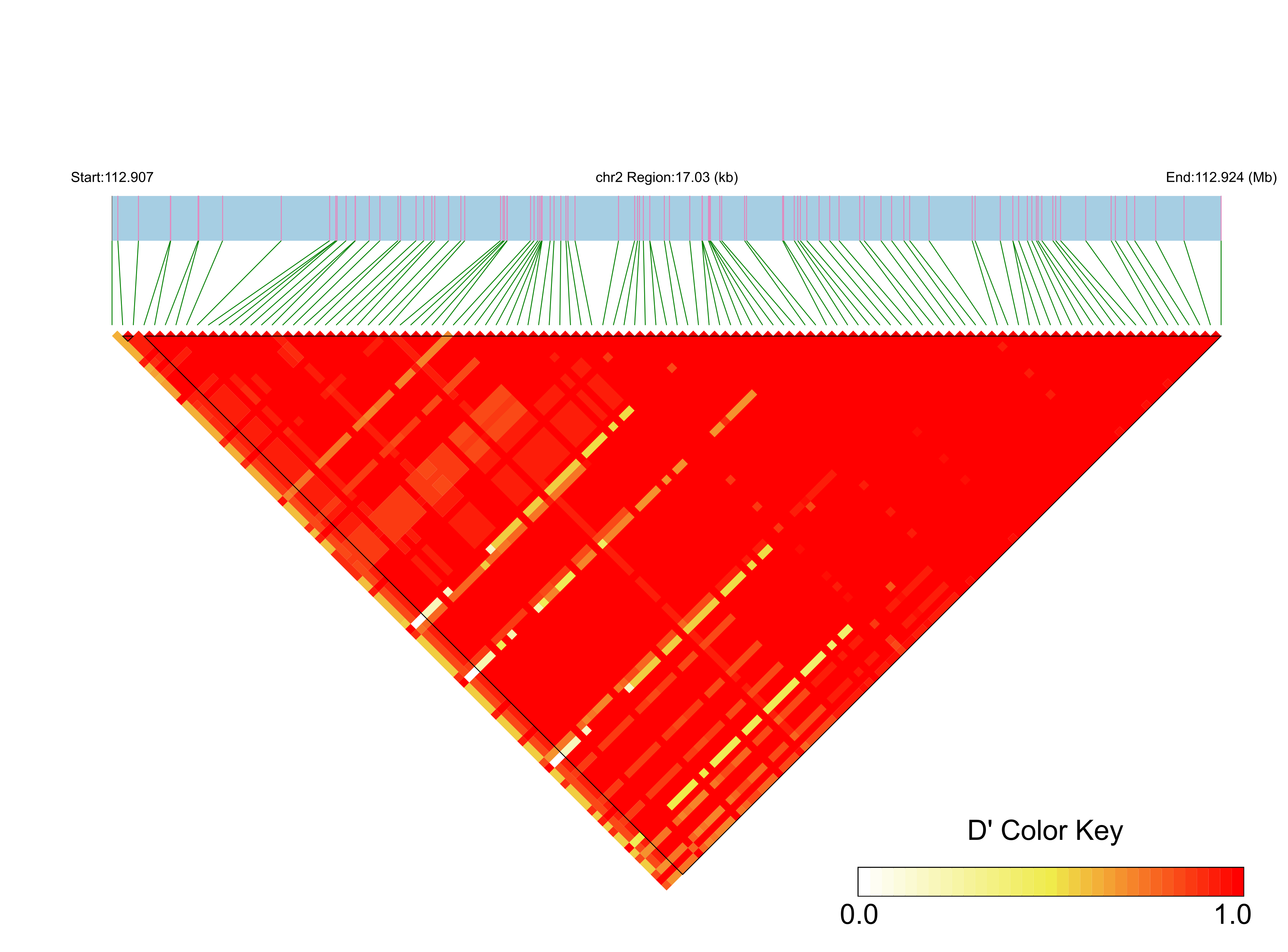 LD