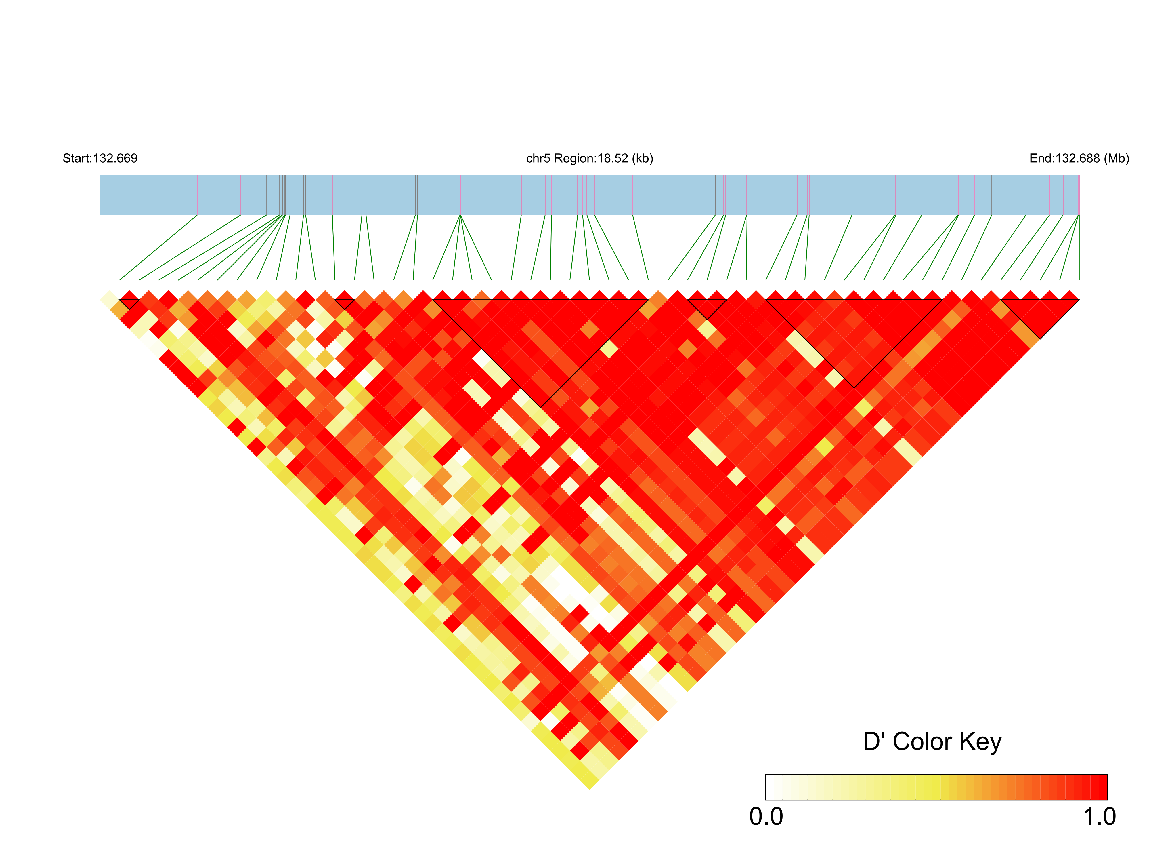 LD