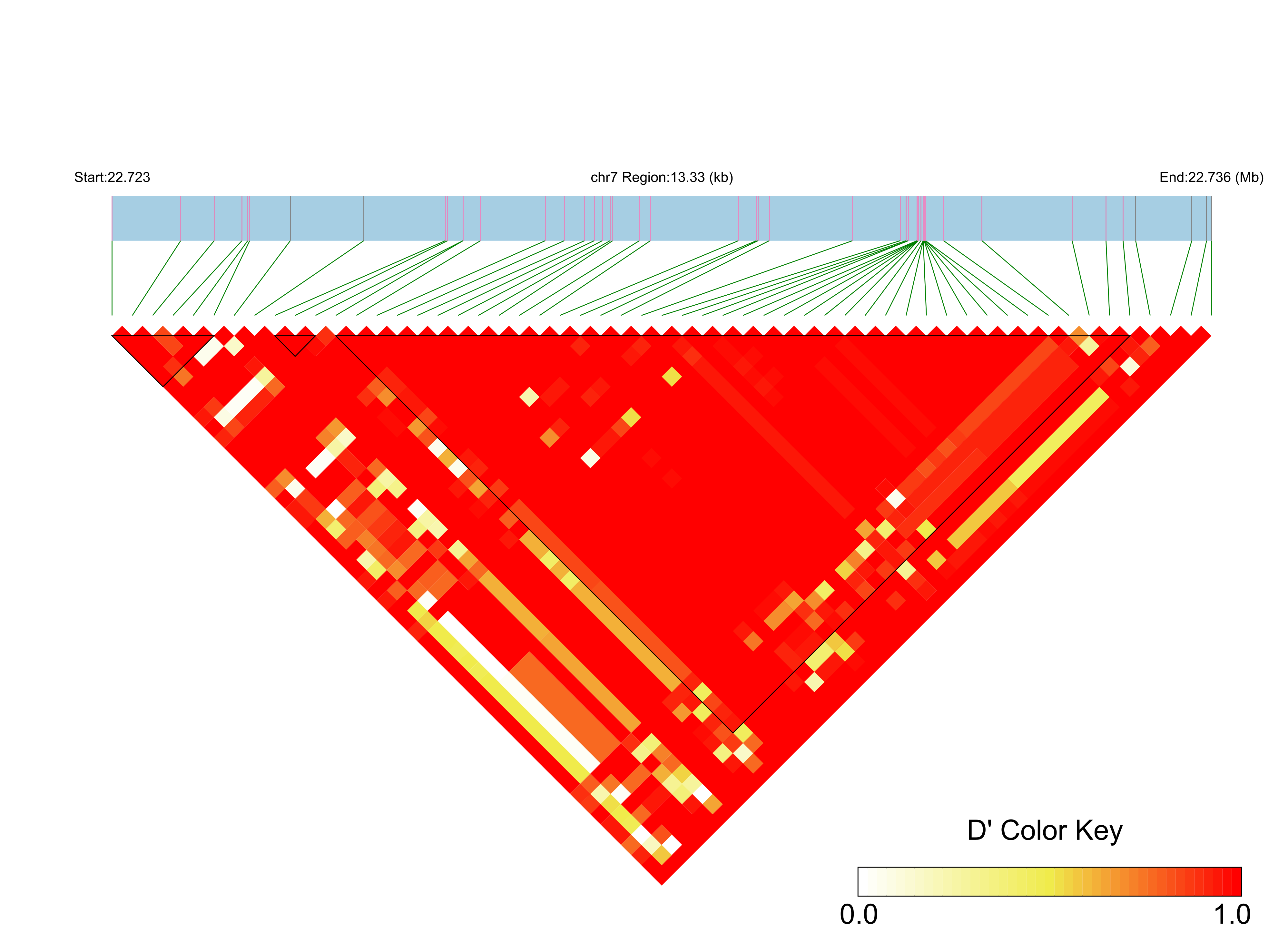 LD