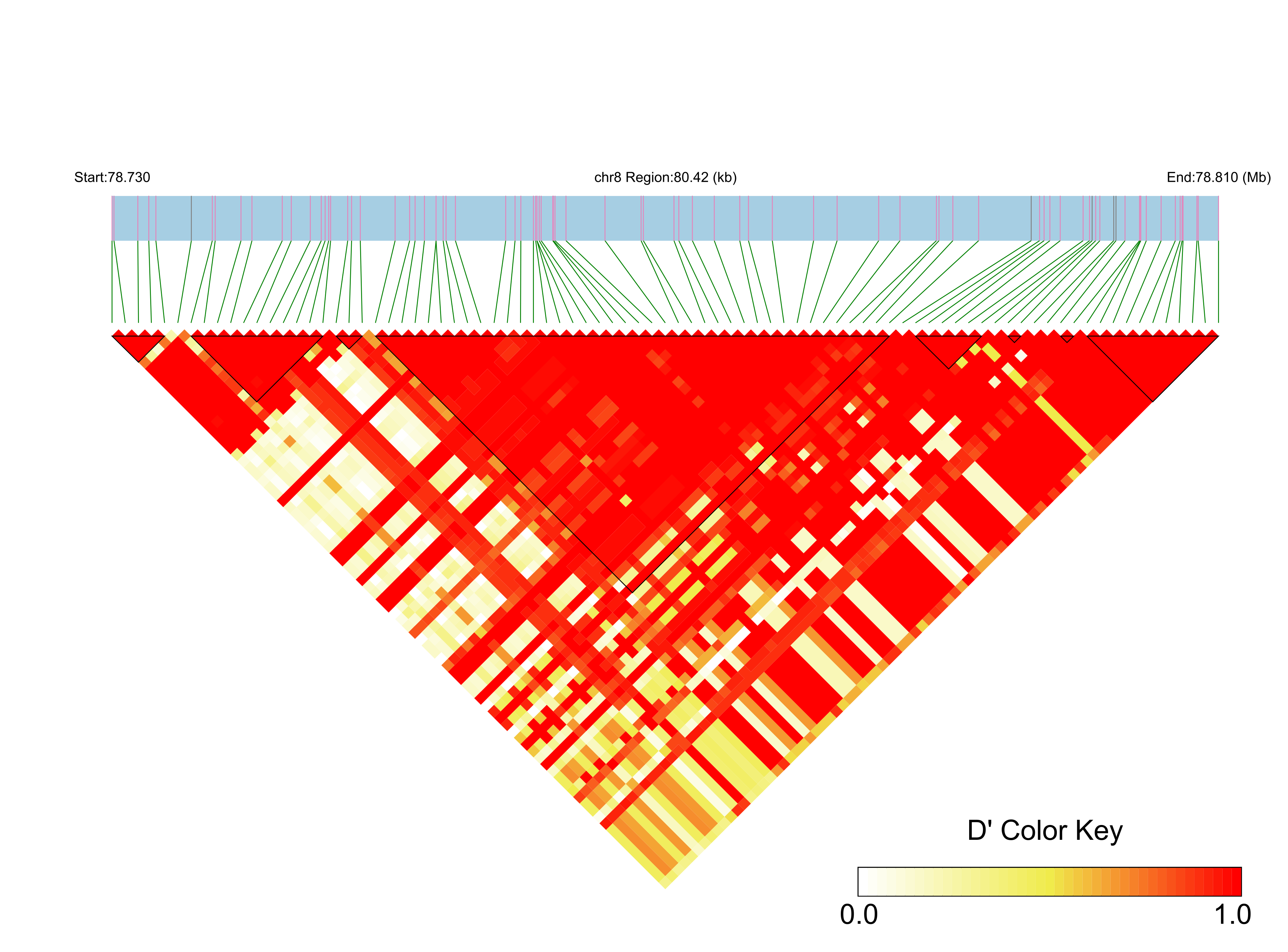 LD
