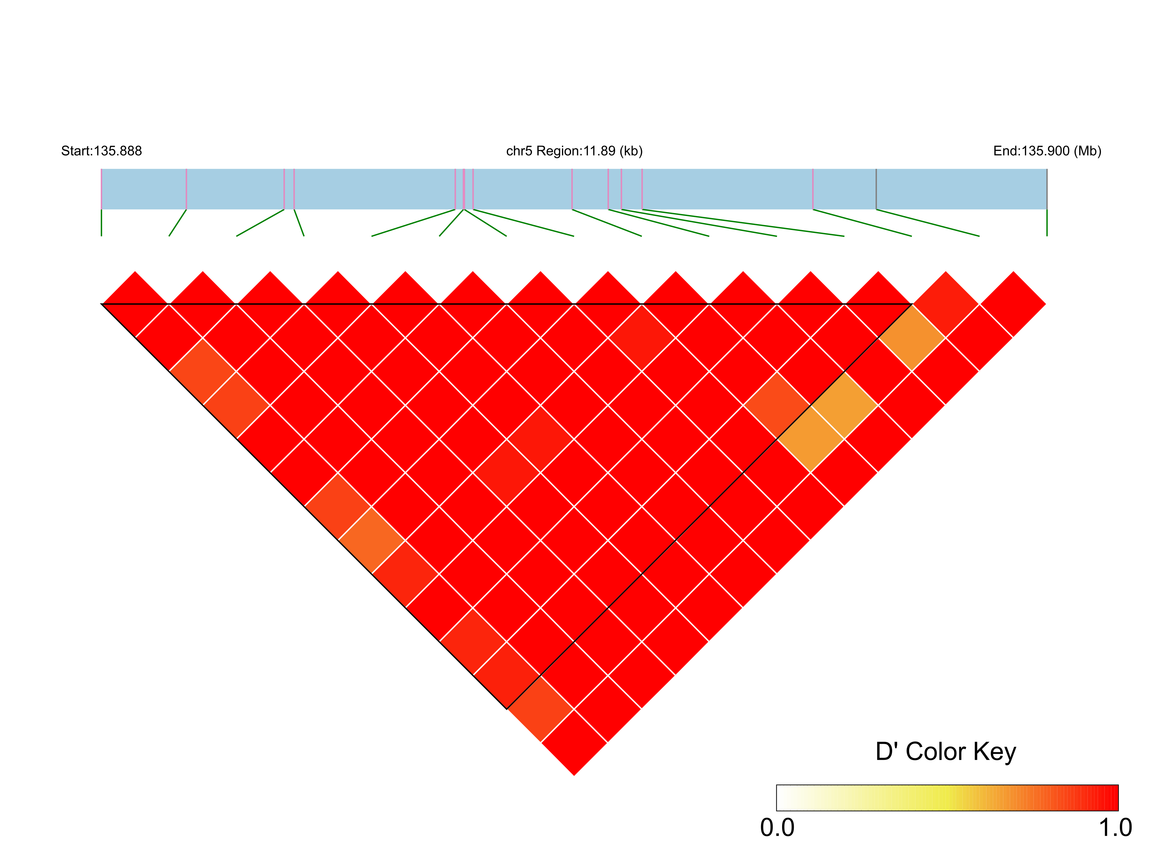 LD