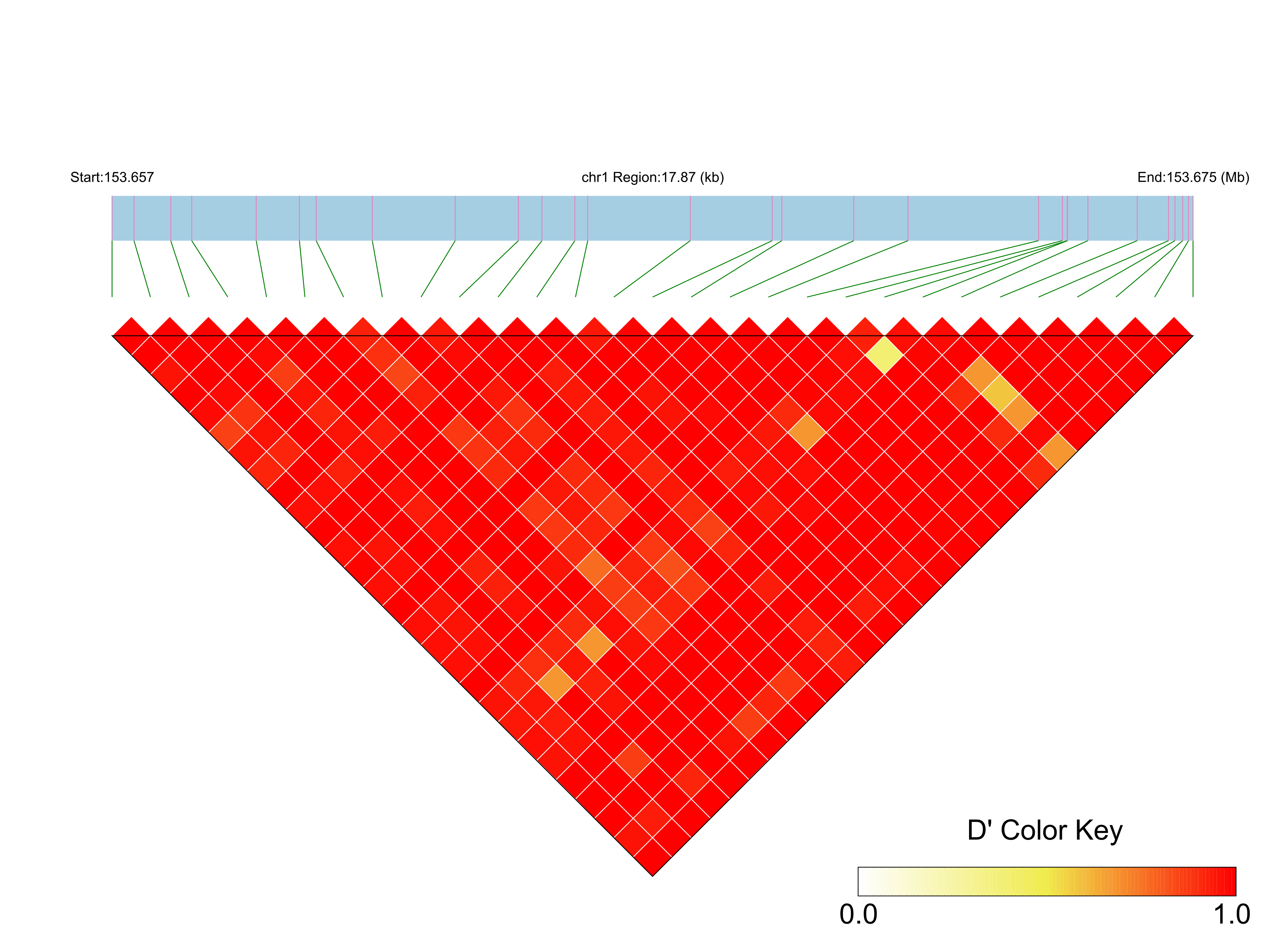 LD