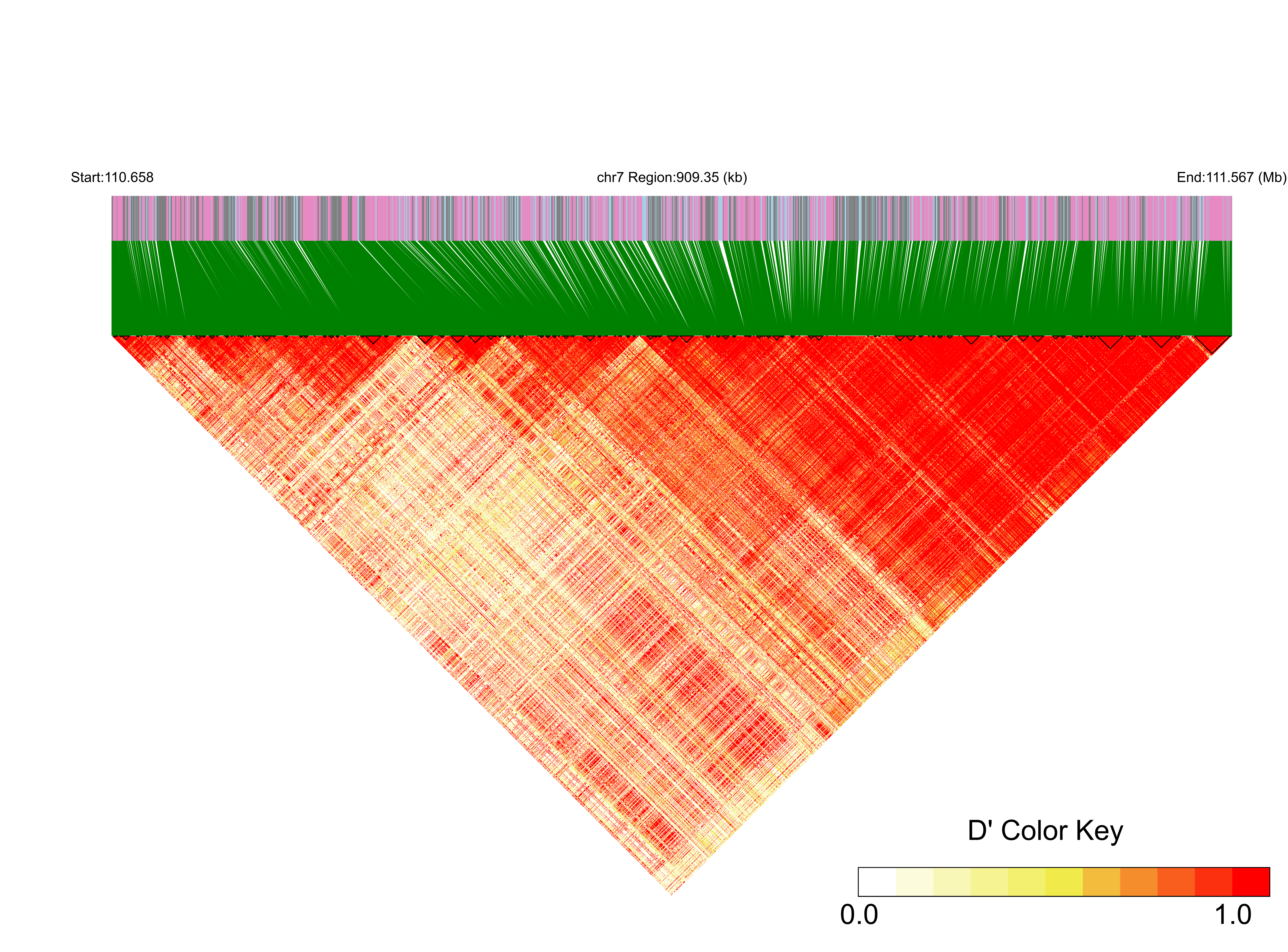 LD
