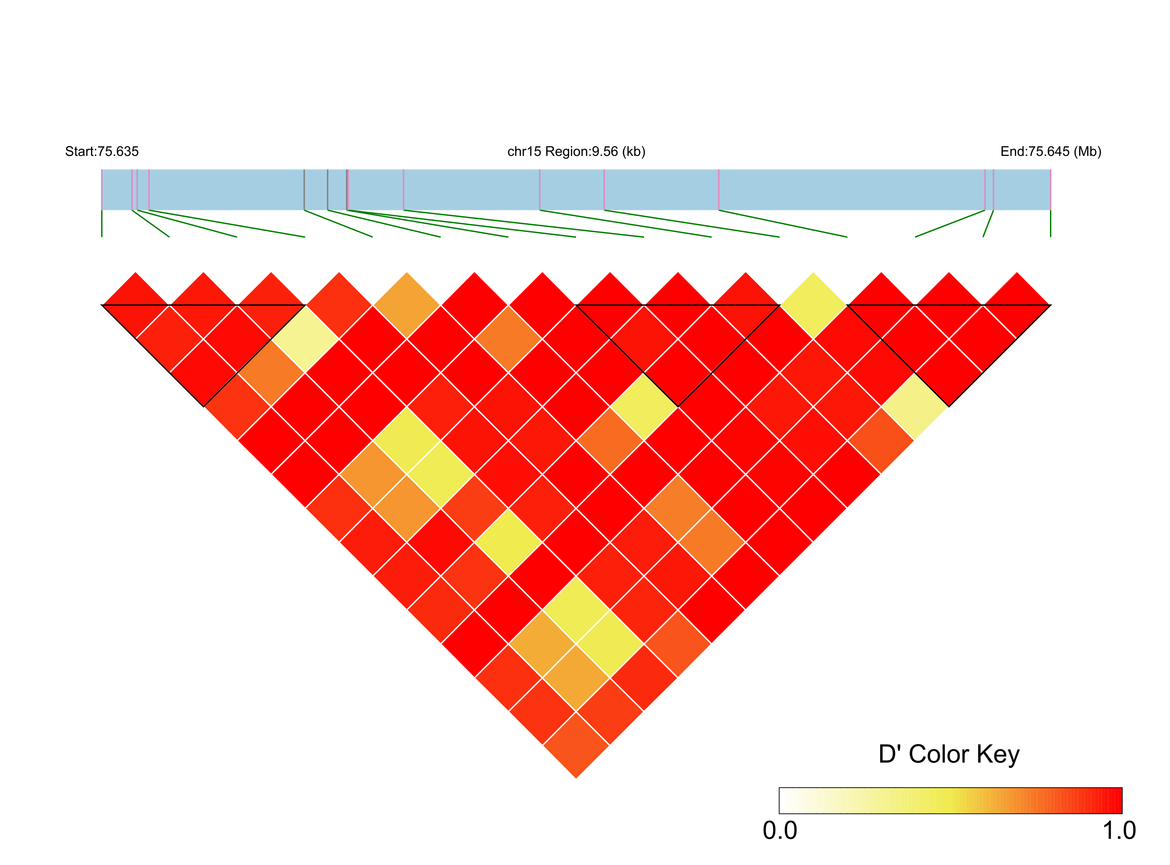 LD