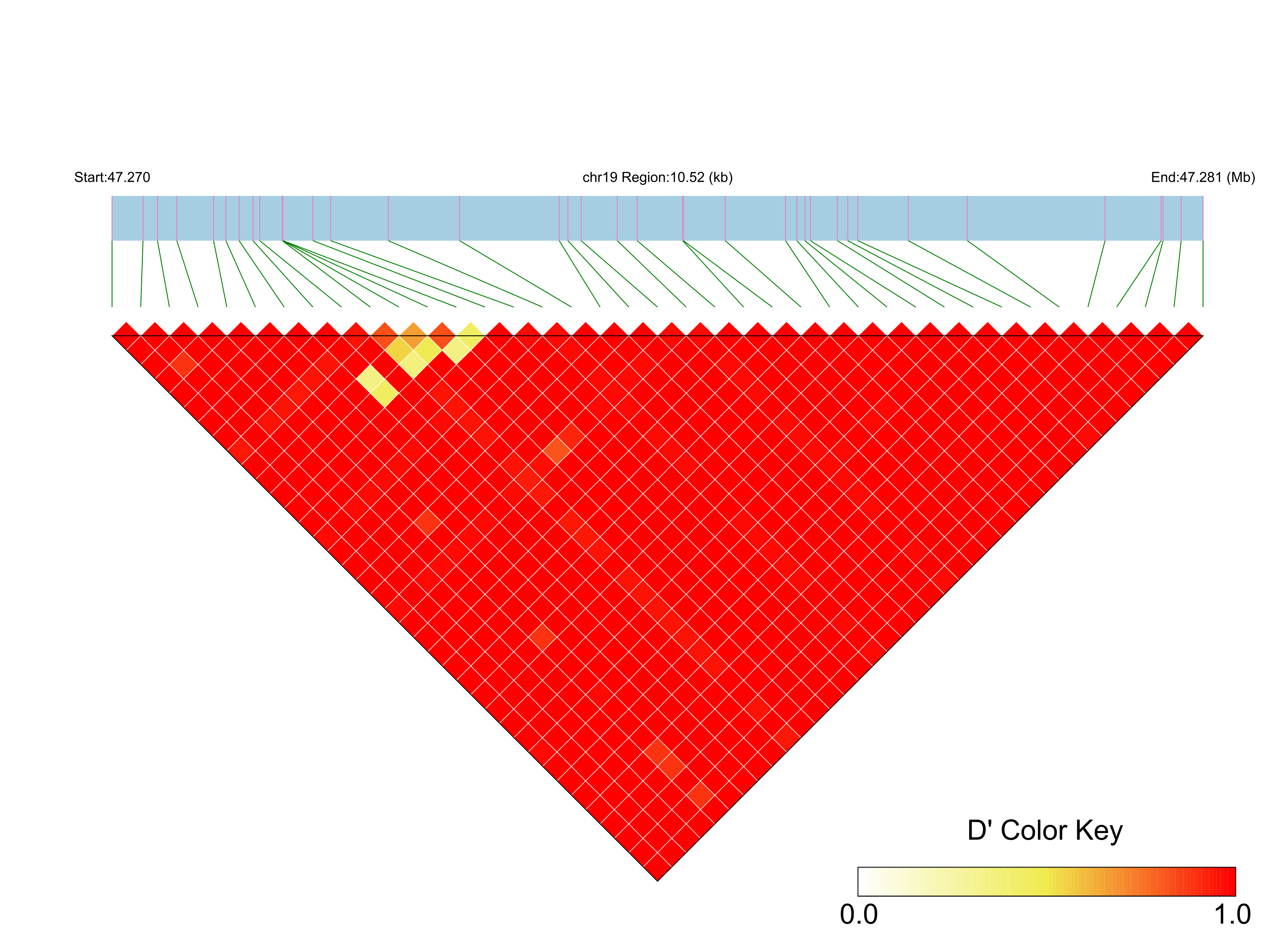 LD