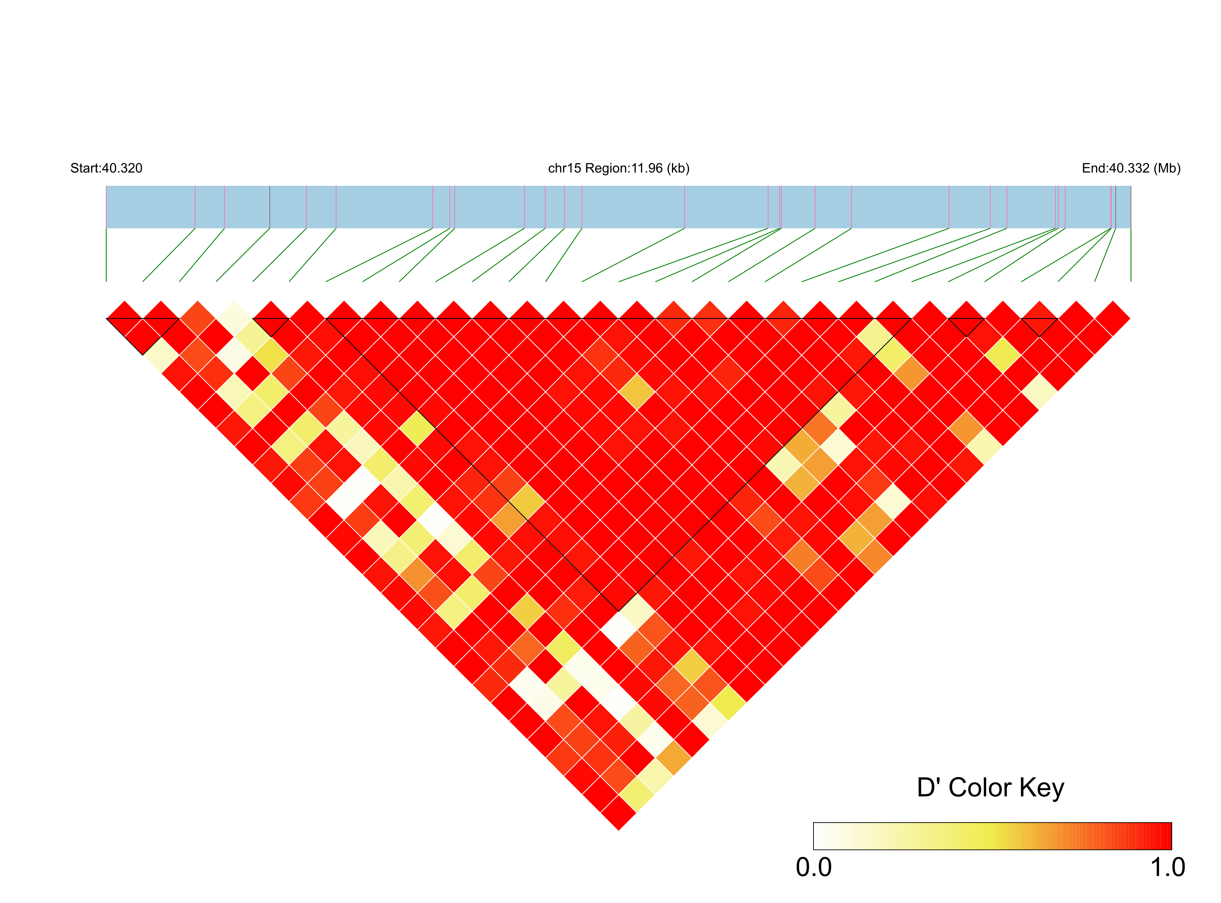 LD