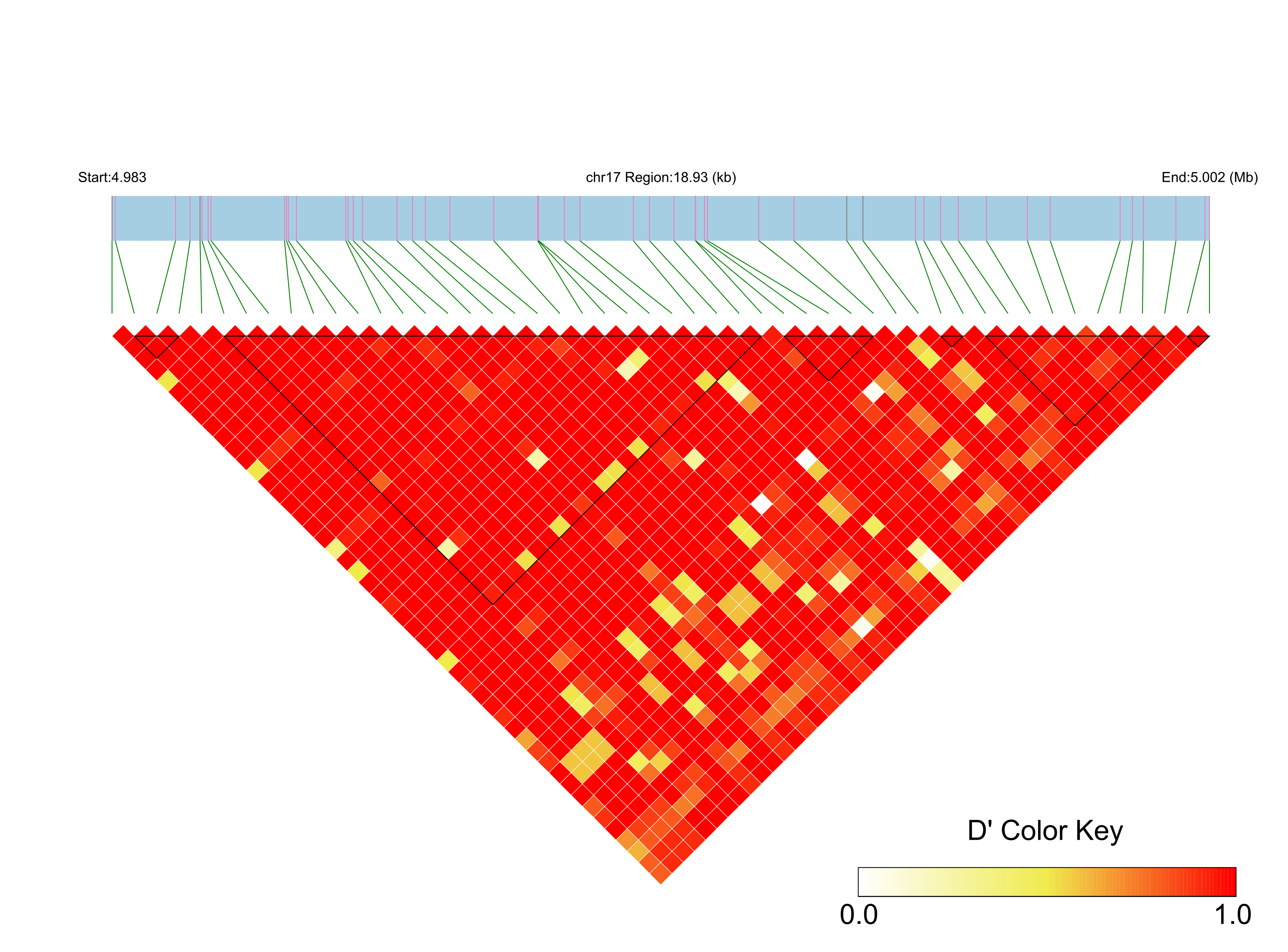 LD
