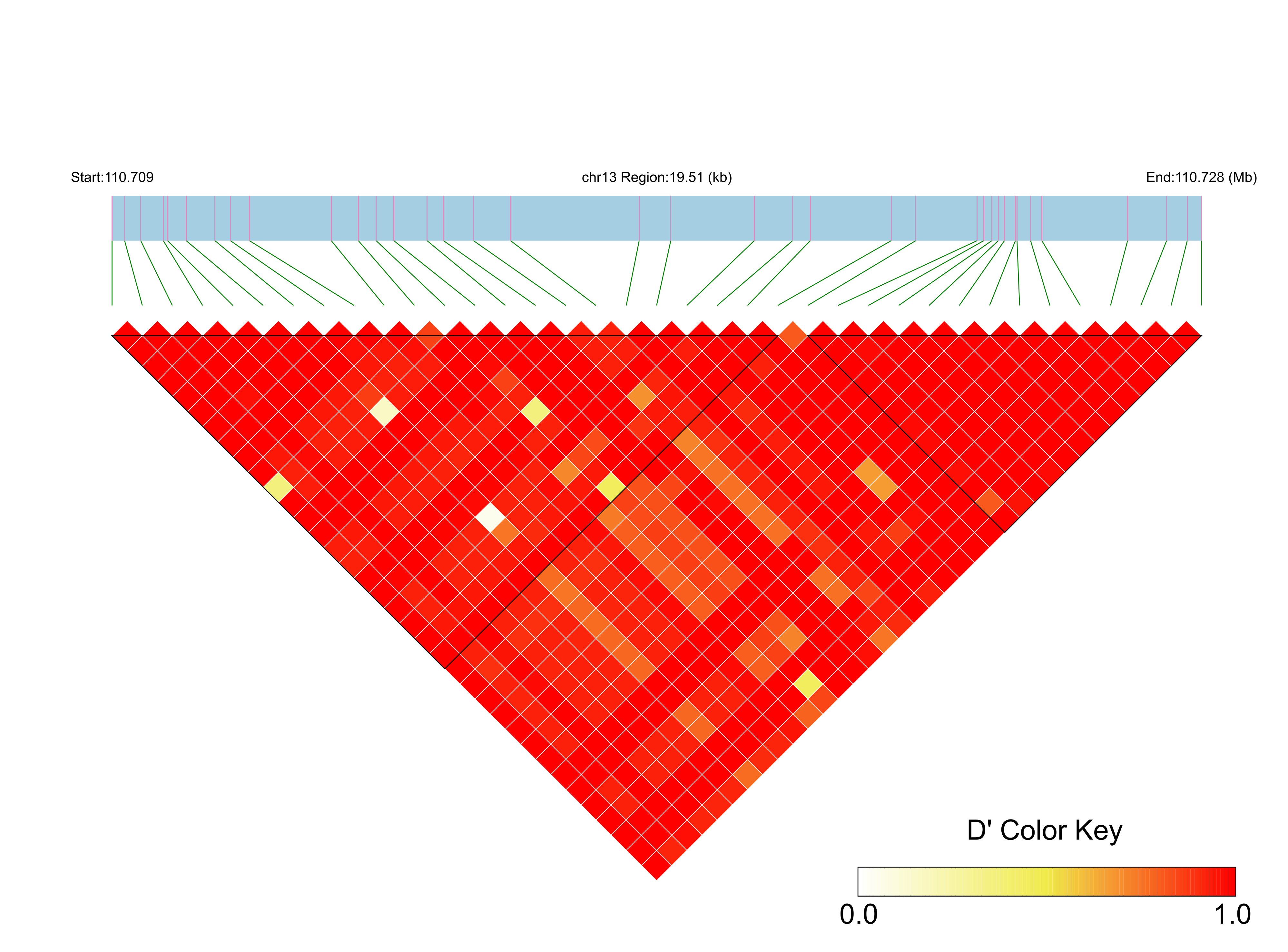 LD