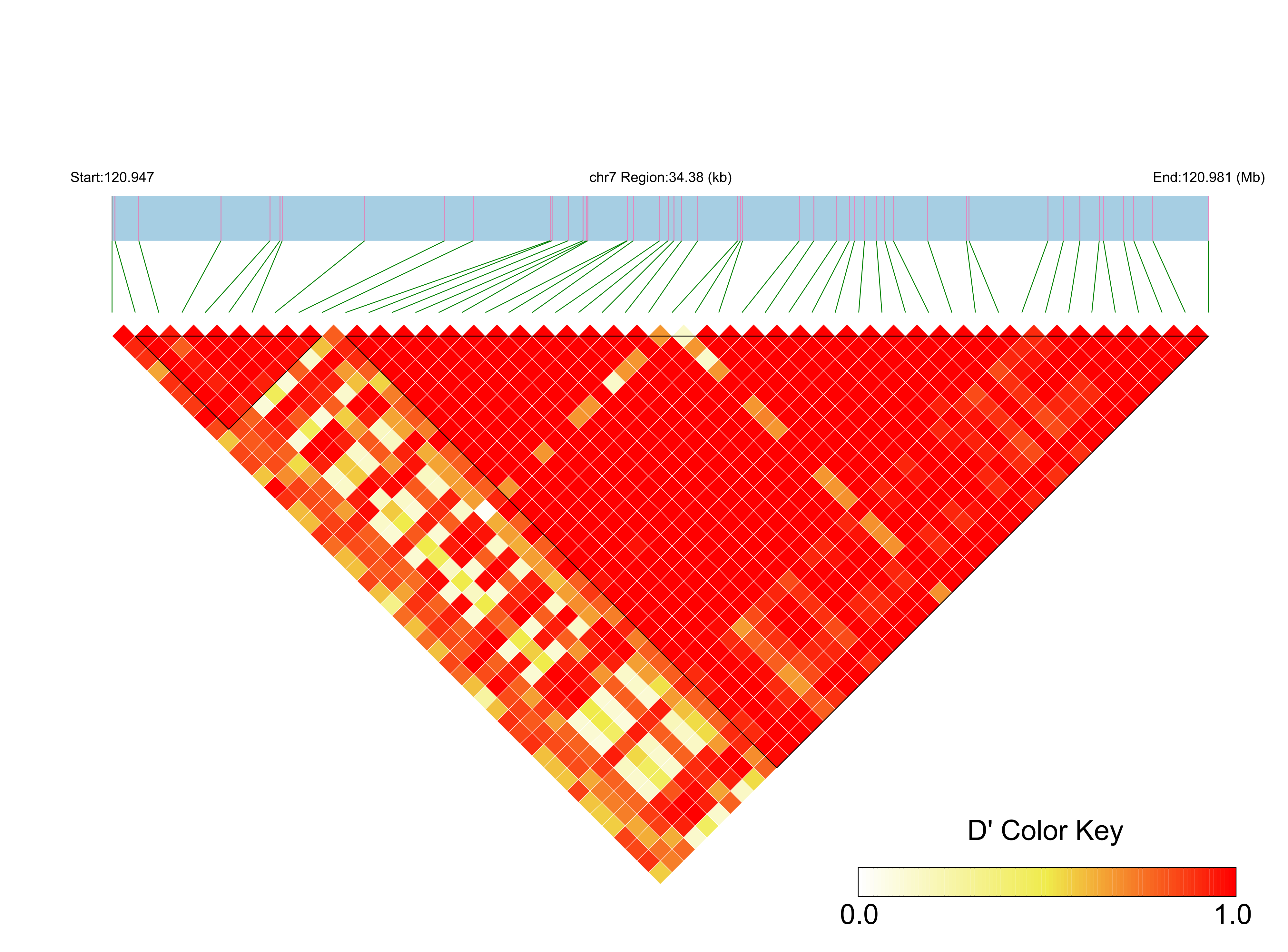 LD