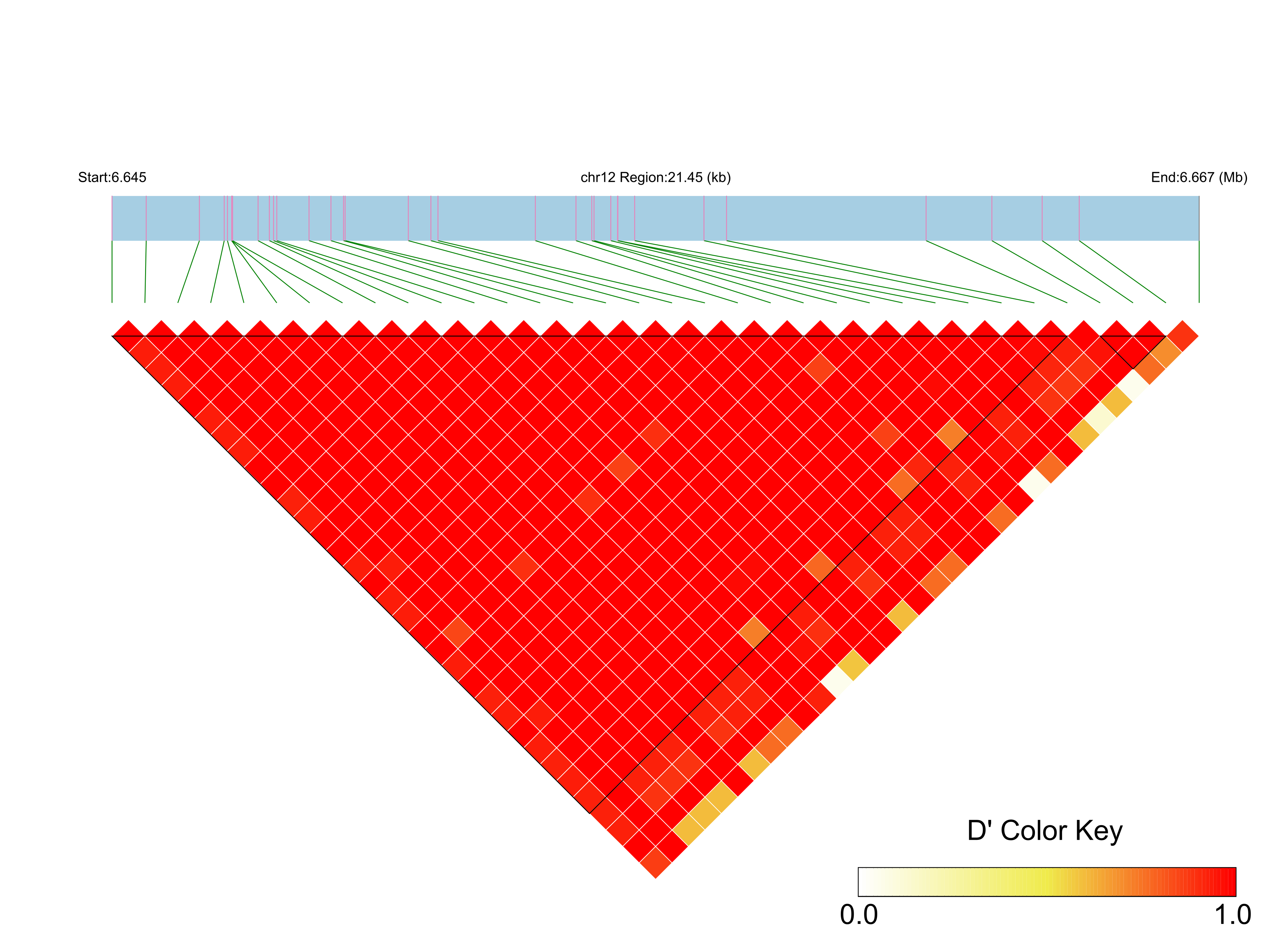 LD