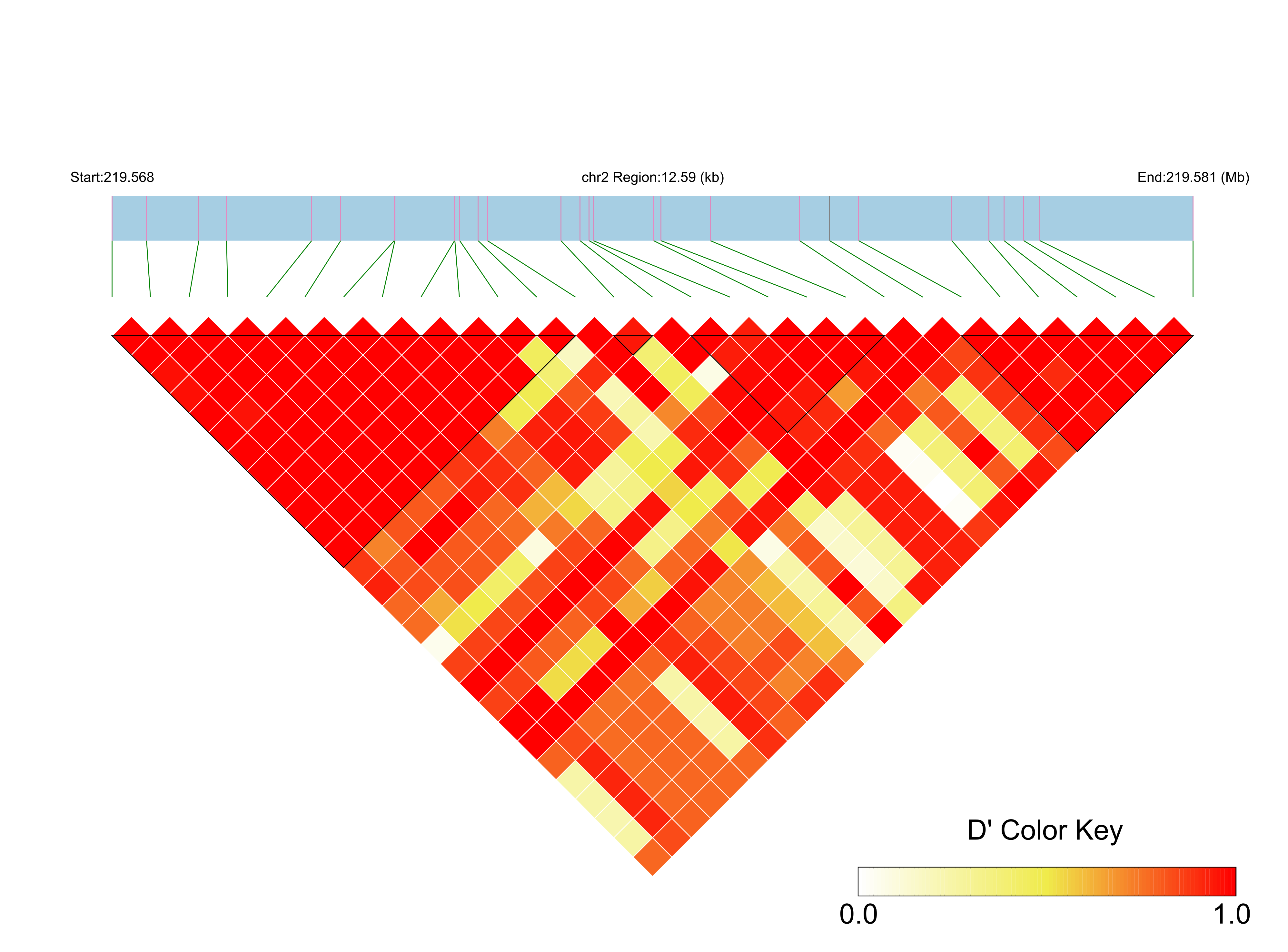 LD