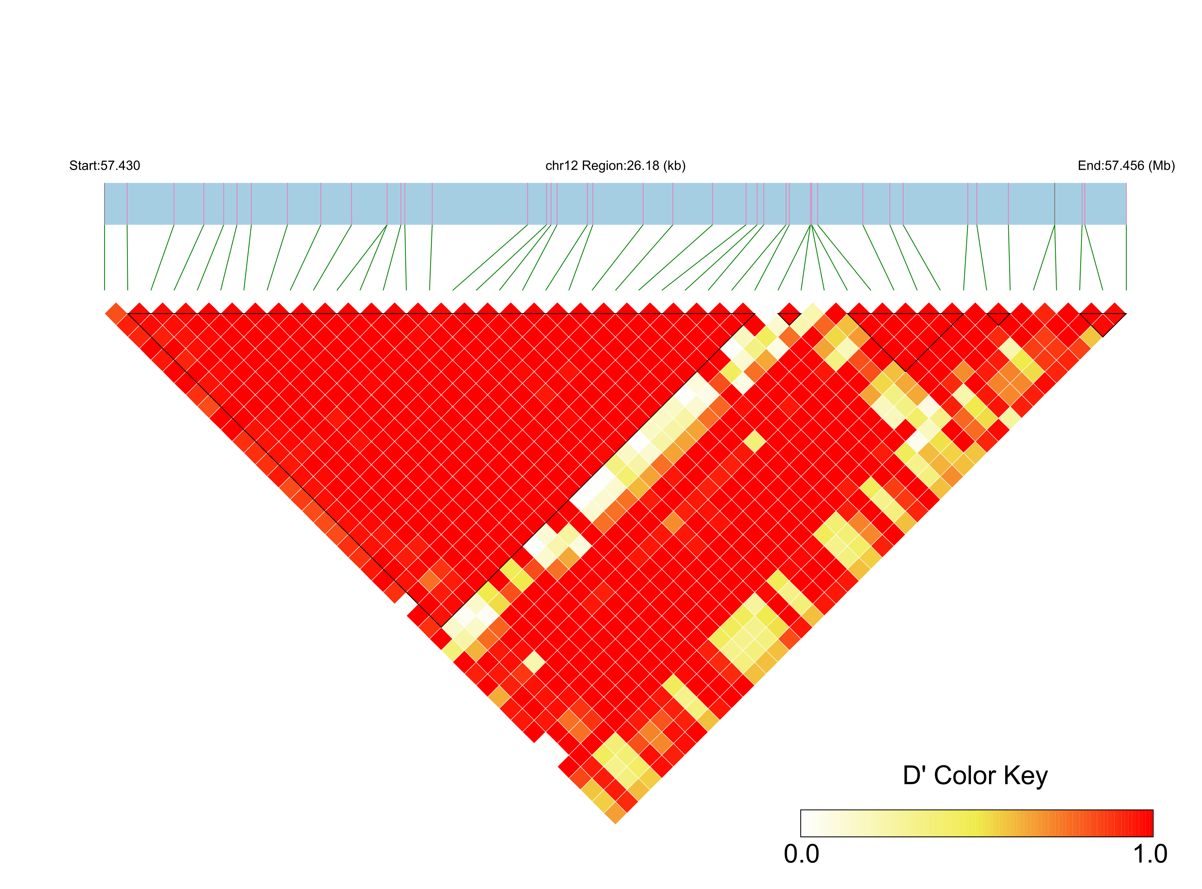 LD