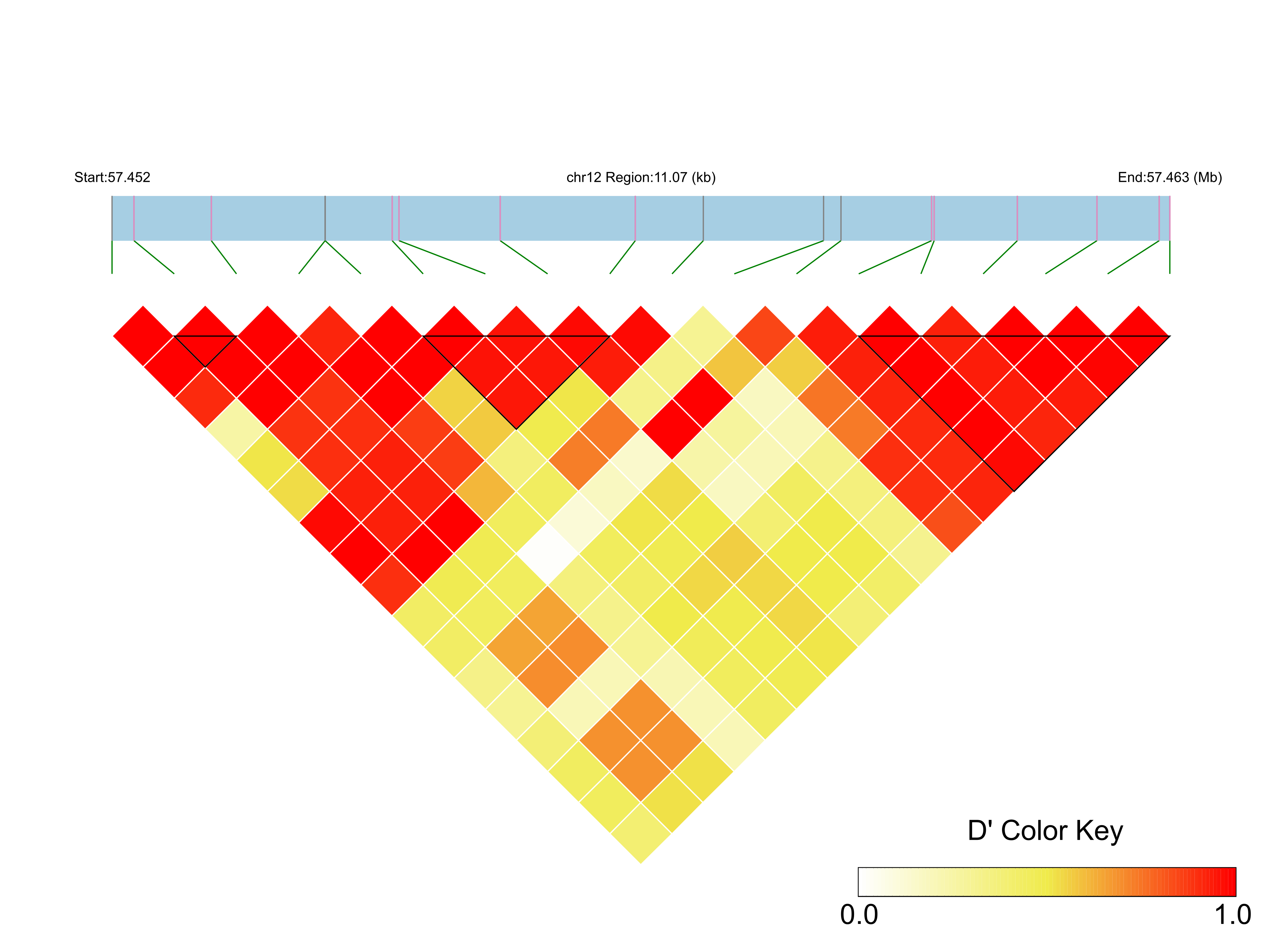 LD