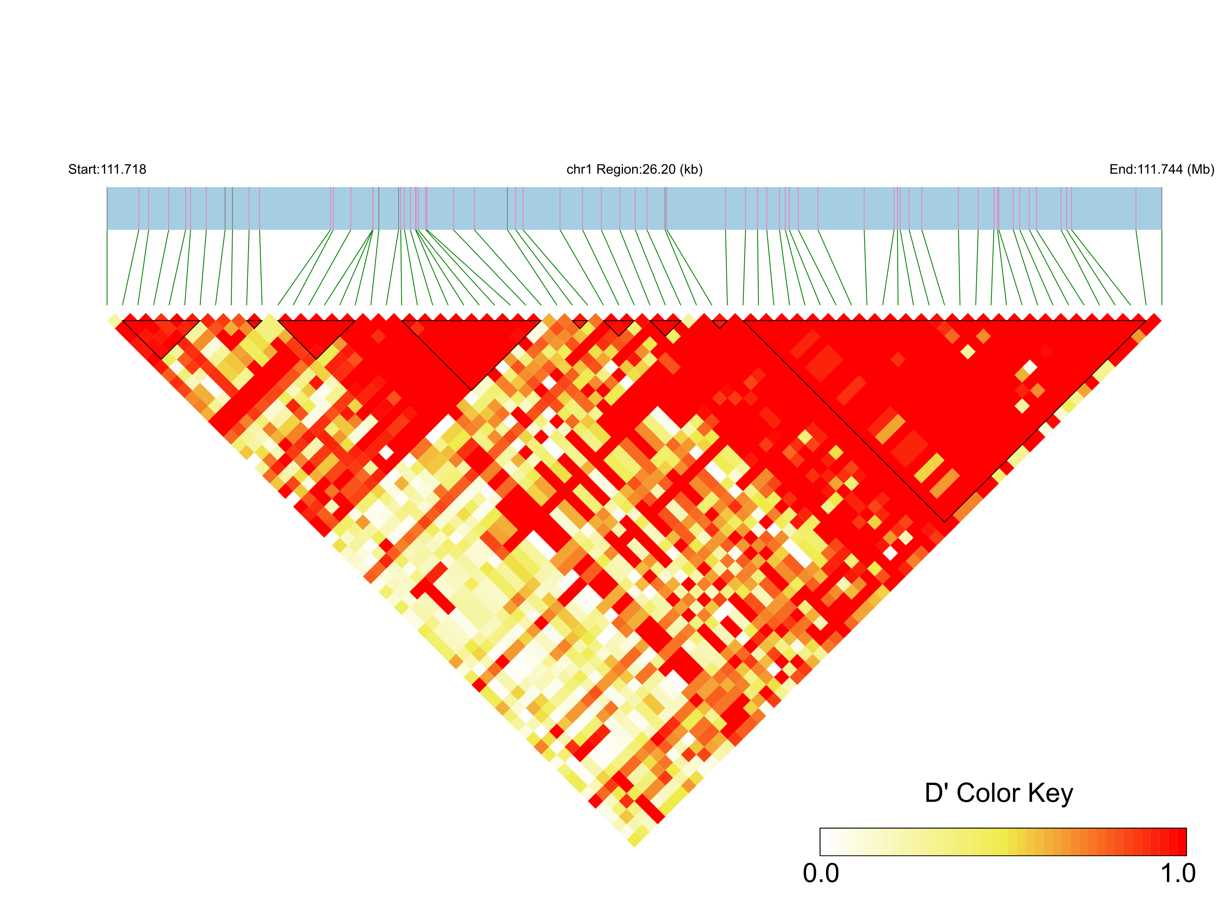 LD